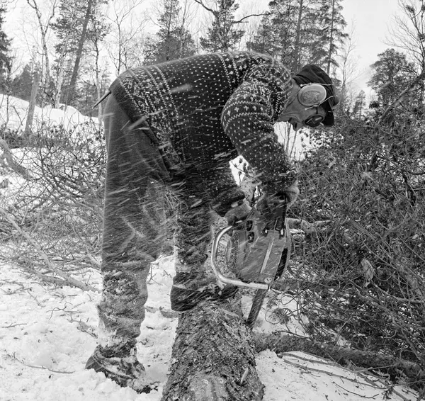 Motorsaga i skogbruket