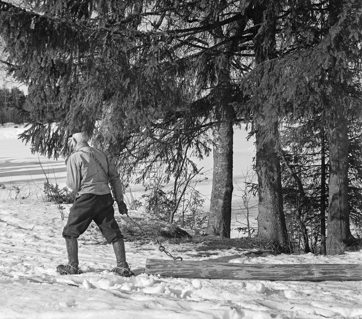 August Herstadhagen (1886-1977) fra Elverum demonstrerer manuell lunning av en barket tømmerstokk på Prestegardsjordet nmord for Norsk Skogbruksmuseum vinteren 1971. Her hadde Herstadhagen banket en jernkrok inn i yteveden på tømmerstokken, ikke langt fra den ene stokkenden. I kroken var det festet et cirka 2 meter langt vidjereip. Denne vidja la Herstadhagen over skuldra. Deretter gikk han framover på den snødekte marka og trakk tømmerstokken etter seg. August Herstadhagen var kledd i mørke vadmelsbukser og lys dongerijakke.  På hodet hadde han ei mørk østerdalslue.  På beina hadde han snøsokker, lærstøvler og truger.