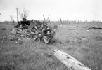 Delar av en tysk Pz III som använts som mål på Kråks skjutfält 1950.