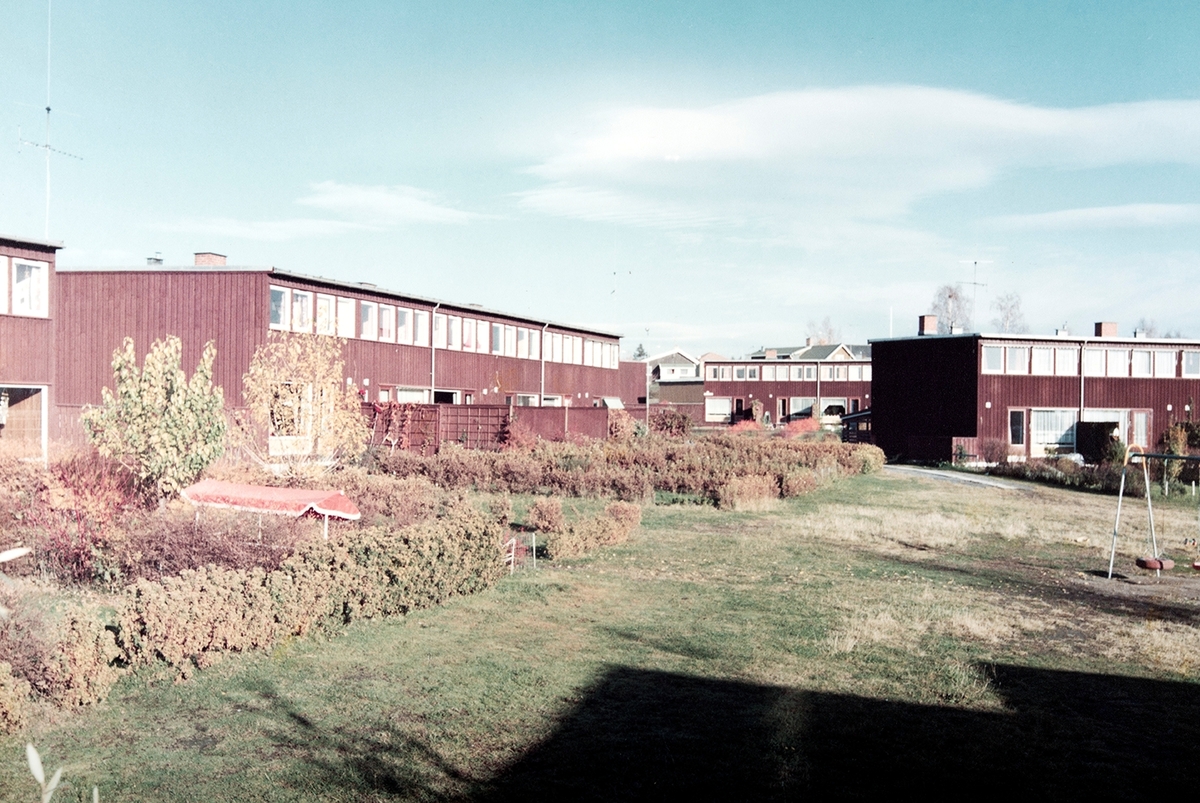 Rekkehus Dalsløkka, Hamar