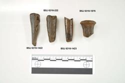 Vågen i Bergen: Marinarkeologisk forundersøkelse 2009-2010