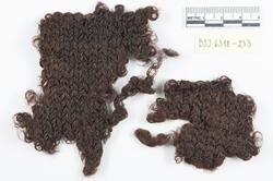 Vågen i Bergen: Marinarkeologisk forundersøkelse 2009-2010