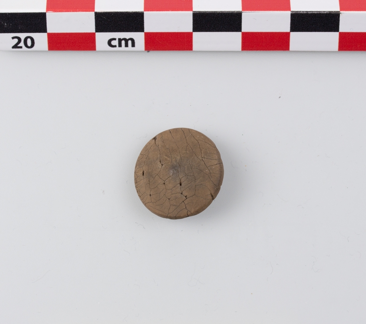 Knapp, bein, funnet i Vågen i Bergen.