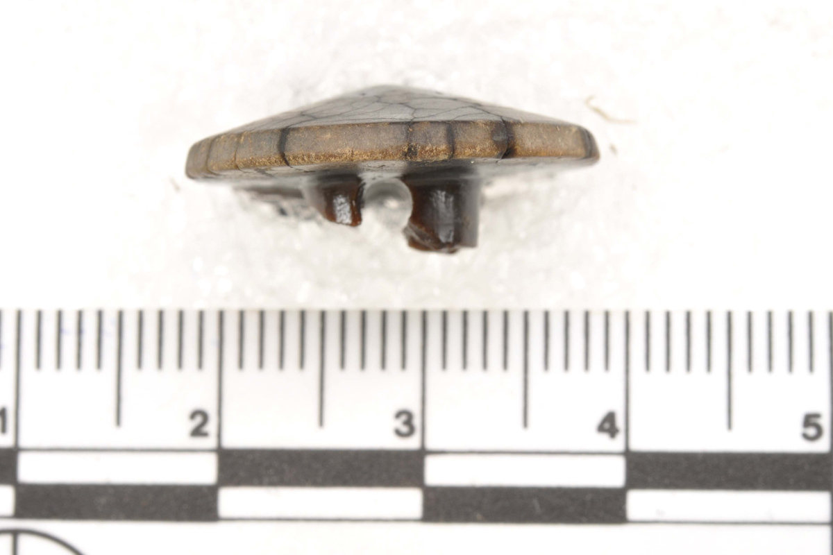 Knapp, bein, funnet i Vågen i Bergen.