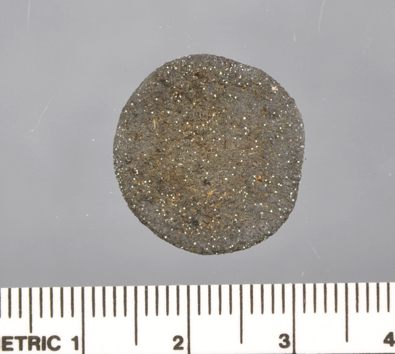 Mynt funnet i Vågen i Bergen.