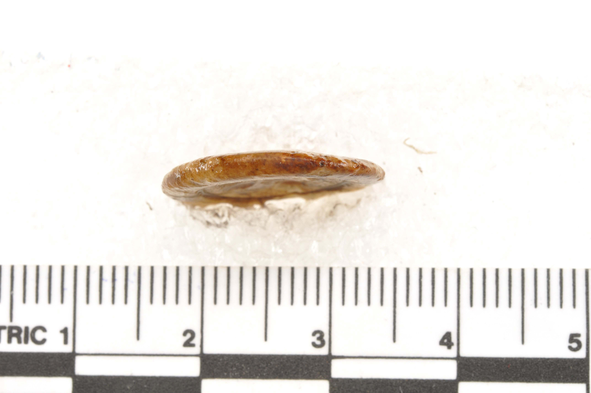 Knapp i tre, funnet i Vågen i Bergen.