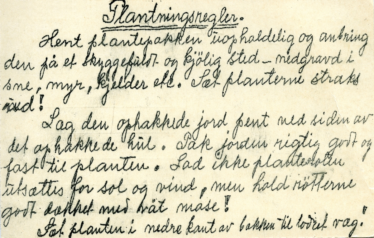 Brevkort, datert 26. mai 1917.  Kortet måler 14 X 9 centimeter og er lagd av tynn kartong.  På den ene sida av kortet er det – med oransje sverte – trykt et opplinjert adressefelt, et treøres posthornfrimerke og et skjold med løvemotiv og krone på toppen.  Adressefeltet er ikke utfylt, men til venstre for dette finner vi følgende tekst: ”Fra Bygland planteskole – 26. mai 1917 – De bestilte planter sendes herfra i dag med hest til H. Sætrang”.  På den opprinnelig blanke sida av kortet har følgende tekst: ”Plantningsregler.  
Hent plantepakken uopholdelig og anbring den på et skyggefuldt og kjølig sted – nedgravd i sne, myr, kjelder etc.  Sæt planterne straks ned! 
Læg den ophakkede jord pent ved siden av det ophakkede hul.  Pak jorden riktig godt og fast til planten.  Lad ikke planteroten utsættes for sol og vind, men hold røtterne godt dækket med våt mose!
Sæt planten i nedre kant av bakken til lodret væg!”
Teksten på kortet er handskreven, tilsynelatende som en slags gjennomslagskopi. 
