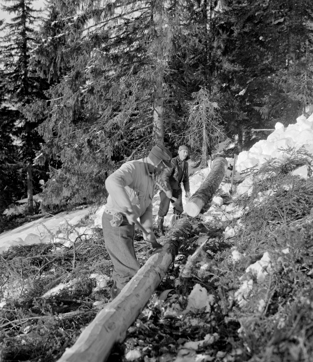 Barking av aptert granstamme i Bødalen i Vestre Gausdal i mars 1967.  Treet er felt fra et tettvokst granbestand mot ei åpen, snødekt flate i skrånende terreng.  Da dette fotografiet ble tatt var grana felt, kvistet og kappet, og Gudbjørsrud var i ferd med å barke «annenstokken» mens Kronberget sto ved enden av rotstokken med ei øks i handa.  Gudbjørsrud var kledd i mørkegrå vadmelsbukser med votter i lommene, dongerijakke på overkroppen og skyggelue med ørelapper på hodet.  Kronberget hadde gummistøvler på beina og var kledd i mørke bukser og skinnjakke, samt skyggelue på hodet. Fotografiet ble tatt i samband med at Norsk Skogbruksmuseum produserte en film om hankekjøringstradisjonene i Vestre Gausdal.  Stammen på fotografiet ble antakelig barket, øyet og transportert ned den bratte lia ved hankekjøring under filmopptakene.  Ved høyre bildekant skimtes et stativ som ble brukt under filmopptakene.