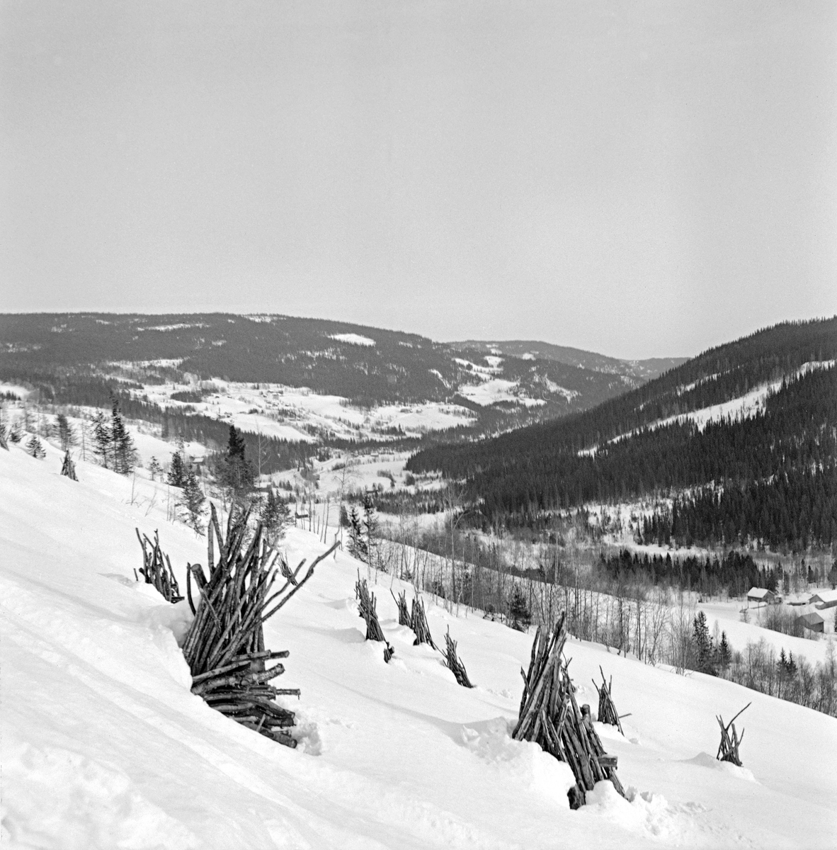 Vinterlandskap i Vestre Gausdal.  I forgrunnen ser vi ei åpen, bratt flate der en del reis av bjørkeved stikker opp fra snøen.  Bakenfor ser vi en skogsdal med ei elv i dalbotnen og bratte lier med mørk granskog på begge sider.  Landskapet har også en del åpne, snødekte flater, dels dyrket mark, dels hogstflater.  At mengden av slike åpne flater synes større i den venstre enn i den høyre delen av bildeflata skyldes antakelig at den østre, mest soleksponerte delen av dalføret er mer oppdyrket og bebodd enn den vestre, mer skyggefulle delen.  I Gausdal brukes begreper som «Frammi bygden» og «Bakli’n» som navn på disse to «kategoriene» i jordbrukslandskapet.  Vedreisene i forgrunnen er antakelig årsaken til at dette fotografiet ble tatt.  I mars 1967 var nemlig Tore Fossum og Kjell Søgård i Vestre Gausdal for å produsere en kulturhistorisk dokumentarfilm om tradisjonelle transportmåter for tømmer og ved i denne bygda.  I forbindelse med disse filmopptakene fikk de blant annet se hvordan ved fra disse reisene ble transportert ned til dalbotnen på skikjelke. 