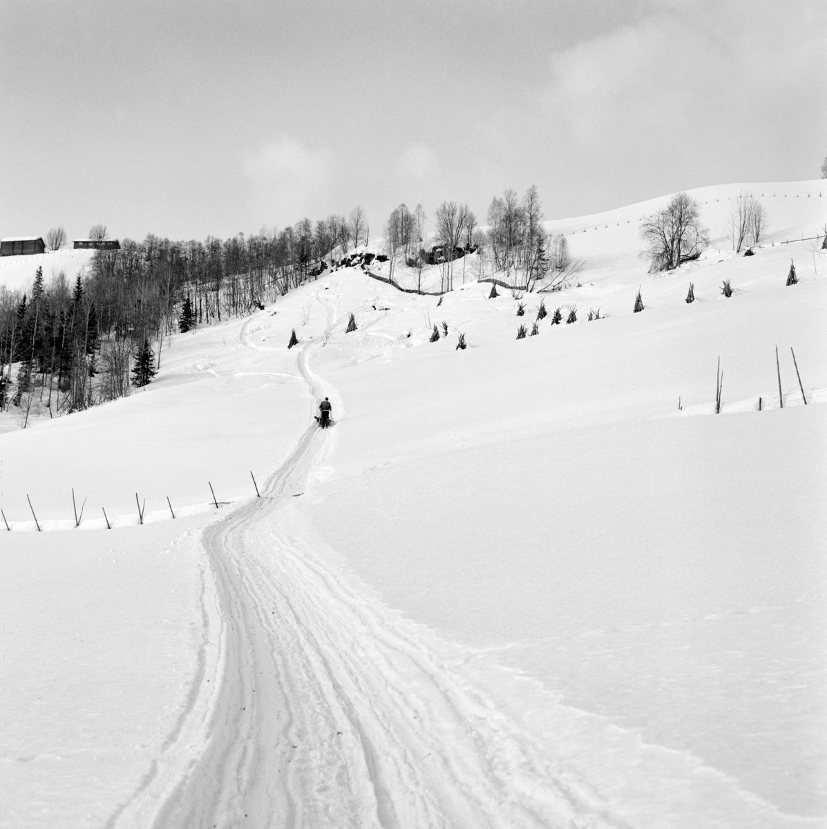 Vinterlandskap fra Vestre Gausdal i 1967.  Fotografiet er tatt fra et snødekt jorde, over en opptråkket kjøreveg som krysser en skigard oppover ei li hvor vi skimter en del vedreis på noe som antakelig har vært et beiteareal for bufe.  På vegen fra dette området skimter vi en skikkelse som trekker en skikjelke med ved.  Dette er antakelig Arne Hole eller Hans Bårdslistuen, som var med på opptakene til en kulturhistorisk dokumentasjonsfilm om tradisjonelle transportmåter for tømmer og ved i Vestre Gausdal i mars 1967.  Hvem av de to karene som i dette tilfellet førte skikjelken kan vi ikke fastslå, i og med at avstanden fra fotografen var altfor lang til at vi kan skjelne ansikt eller kroppsfasong. 