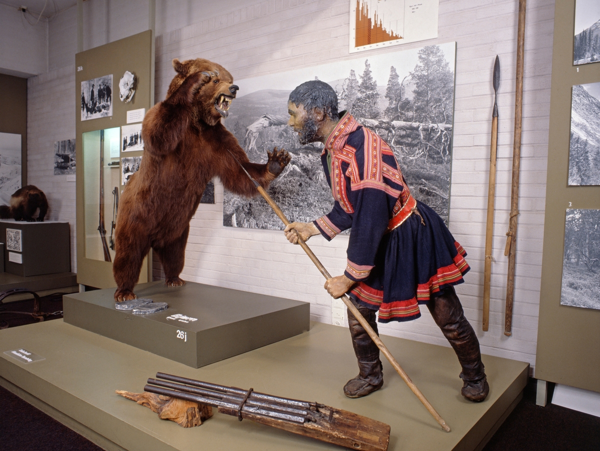 Jaktscene i Norsk Skogbruksmuseums jaktutstilling, som ble åpnet i 1972.  Fotografiet viser utstillingen slik den så ut i 1983.  Hovedmotivet her er en montasje som viser bjørnejakt med spyd.  Jegeren, en lett framoverbøyd mannfigur, står med et spyd i hendene.  Han har støtt den bakre enden av spydskaftet mot underlaget og holder jernspissen skrått oppover.  Foran ham står en brunbjørn på bakbeina med framlabbene hevet til slag og glefsende kjeft.  Det man forsøker å illustrere er en jaktmetode der jegeren forutsatte at bjørnen ville angripe ved å kaste seg mot ham, og dermed få spydspissen i brystet.  I og med at bakenden av skaftet støtte mot bakken, trengte ikke jegeren være spesielt sterk, men rask og smidig, slik at han til enhver tid holdt spydspissen i den retningen bjørnen angrep fra.  Mannen er i dette tilfellet kledd i samisk kufte i blått ullstoff, pyntet med rød- og gulfargete bånd.  På beina hadde han skinnbukser.  Det samiske antrekket antyder at dette er en jaktform som er dokumentert i samiske miljøer.  Mens bjørnen og mannsfiguren med samedrakt framstår som naturalistiske, er omgivelsene ellers er ikke formet med ambisjoner om å framstå som natur.  Jegeren befinner seg på et podium lagd av sponplater, bjørnen står på et noe mindre podium oppå dette igjen.  Foran bjørnen ligger et par sportegn i gips, og foran jegeren finner vi et sjølskudd med tre munnladerløp.  På den kvitmalte teglsteinsveggen i bakgrunnen er det montert et par spyd og et stort svart-hvittfotografi fra fjellskog med et digert, tørt, rotveltet furutre i forgrunnen.  Fotografiet er åpenbart valgt for å illustrere hva slags terreng man kan finne bjørn i.  Over fotografiet ser vi et søylediagram, som antakelig viste hvordan bjørnestammen i Norge krympet.  Bak bjørnen ser vi en skjerm med fotografier fra bjørnejakt, et kranium, samt en nisje med et jaktgevær.

Jens Rathke (1769-1885), som seinere ble den første professoren i zoologi ved det vi i dag kjenner som Universitetet i Oslo, var i årene 1800-1802 periodevis på studiereiser i Nord-Norge. Fra Malangen i Troms har han notert følgende:

«Bjørnen gjør undertiden Skade paa Qvæget i disse Egne. Den angribes deels med Skydegevær, men oftest med et Slags Landse, hvis Skaft er af Birk, 3 Alen langt, med fodlang firesidet Jernspidse foran; man sætter sig almindelig paa det ene Knæ med Landsen støttet mod Jorden, saaledes at Bjørnen, idet han angriber, jager sig Landsen i Brystet. Man havde og anlagt en Bjørnebaas eller et Slags Fælde med Agn og Stok i Enden af en Dal, der overalt var bevoxet med Tortn (Sonchus alp.), Bjørnens kjære Føde. Ved disse Midler var det nogenledes lykkes denne Familie i saa ensom Egn at forebygge Skade af dette Rovdyr.»