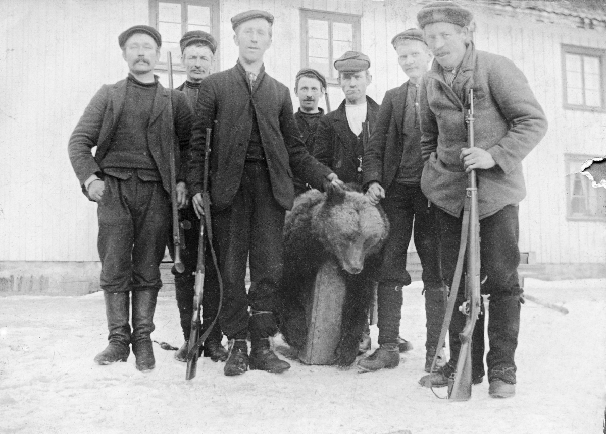 Jegerne Olav Fosse, Nils Kleiva og Hans Homleid med en del skuelystne mannlige naboer og en bjørn de tre karene hadde skutt i Drangedal vinteren 1909.  Bildet er tatt på garden Singusdal, men dyret skal ha vært felt i Heistadmarka.  Det er følgelig rimelig å anta at bjørnen ble fraktet til gardstunet hvor det er fotografert med hest og slede, og at dyret ble flådd og partert der etter at fotografiet var tatt.  Den døde bjørnen er lagt med brystet på ei trekasse som står på høykant.  På denne måten kommer hodet og framlabbene godt fram på bildet.  Karene har stilt seg opp på sidene av og bak bjørnen.  De er dresskledde (muligens vadmelsdresser) og har hodeplagg (de fleste sixpence- eller skyggeluer).  Karene har lærstøvler på beina, og flere har snøsokker som skulle skjerme leggene og skoenes overkant mot snø.  De som faktisk hadde vært med på jakta (se ovenfor) står med geværene sine, med kolbene på bakken og pipene rettet oppover.  I bakgrunnen ser vi en av langveggene på våningshuset på Singusdal, en bordkledd bygning med empirevinduer.  Ytterkledningen var malt i en lys farge, vindusgrindene og -omrammingene i en noe mørkere farge.  

Karene på bildet er fra venstre: Olav Fosse, Nils Kleiva, Knut Bronen, Gunleik Vøllestad, Elling Bronen, Halvor Reiersdal og Hans Homleid. 