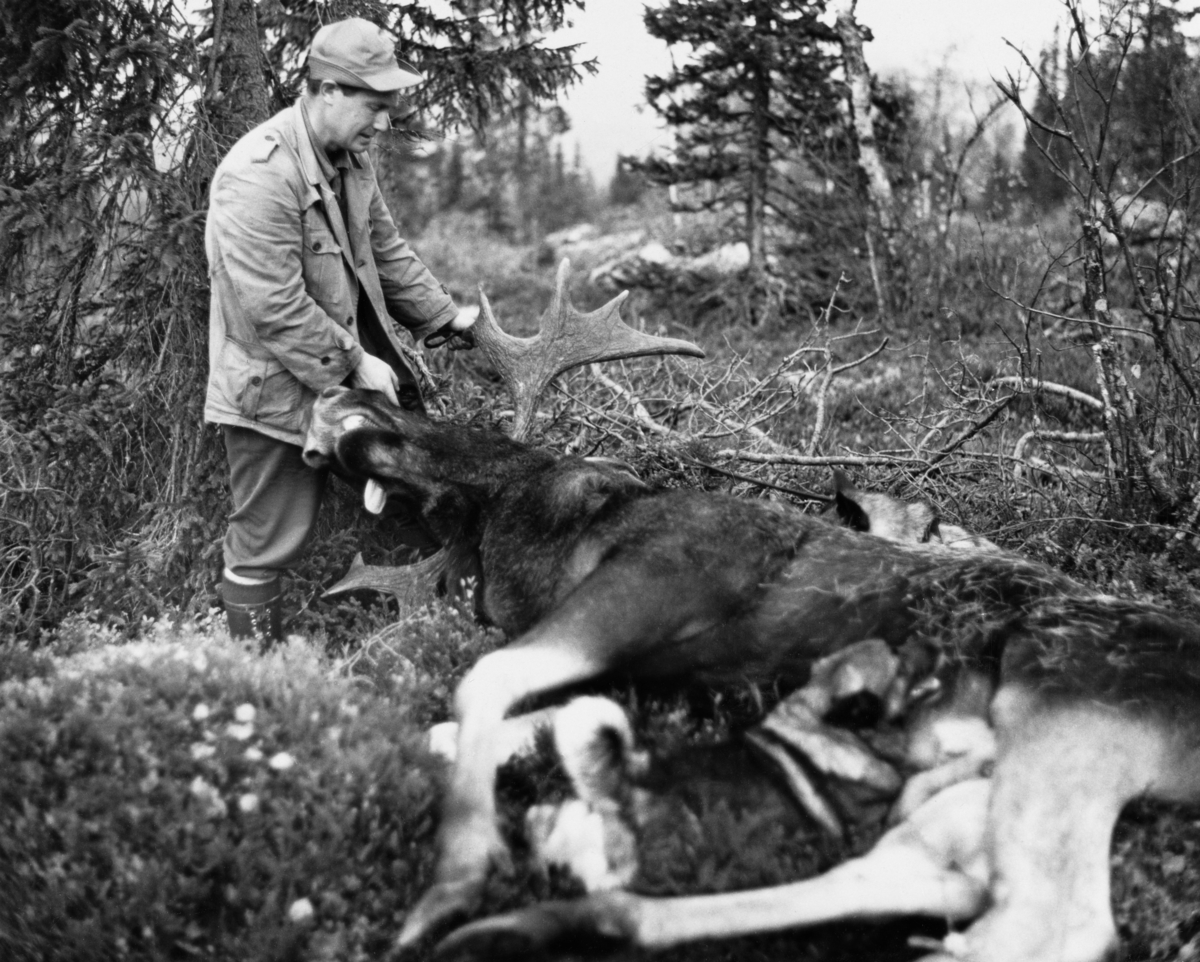 Fossum, Tore (1926 - 2017)