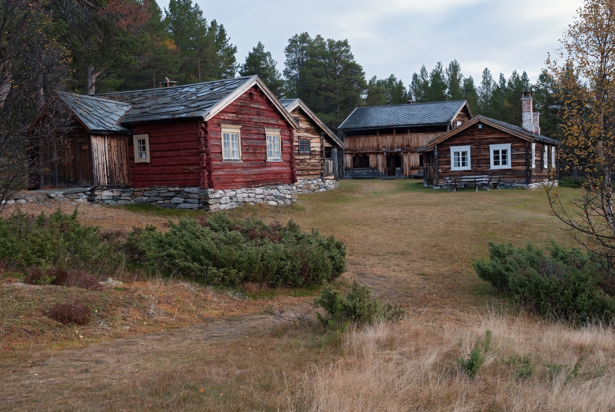 Uppigard Streitlien – som siden midten av 1970-åra har fungert som bygdetun for Folldal i Hedmark – fotografert 25. september 2013.  Den delen av anlegget som vises på dette fotografiet ble utviklet av legen Anton Raabe (1889-1959) og hans kone, skuespilleren Tore Segelcke (1901-1979).  I 1944 gjorde de avtale om å kjøpe et areal på bakkekammen ovenfor garden til Anton og Maria Streitlien, ei tomt med fantastisk utsikt mot Rondane.  De fikk skjøte på eiendommen i 1948, og skal ha hatt innvielsesfest i 1950, men tilflyttinga av antikvariske bygninger fortsatte nesten fram til Raabes død i slutten av dette tiåret.  Etter at Folldal kommune overtok anlegget i 1975-76 er det flyttet flere hus til anleggets ytterkanter, men ingen av disse er synlige på dette fotografiet.  På bildet ser vi (fra venstre): Ryen-stua fra Folldal, Korsvol-stua fra Dovre, Hol-stua fra Folldal [Holen i Grimsbu] og Kjølhaug-stua fra Alvdal.  De to samlerne sørget for at innvendige tak og vegger ble malt i tidsriktige farger.  Raabe skal også ha kjøpt en del antikvariske møbler i regionen, men Segelcke fortalte da materialet skulle registreres i slutten av 1970-åra at mye også var innkjøpt via et av de store antikvariatene i Oslo.  Raabe og Segelcke samlet bare på våningshus og interiører fra slike bygninger, og de var ikke spesielt opptatte av at samlinga skulle være fra den bygda Uppigard Streitlien lå i.  De bygningene som er tilflyttet seinere, og som altså ikke er synlige på dette fotografiet, omfatter flere bygningstyper, alle fra Folldal.  Fotografiet er tatt under en ekskursjon Forum for samlingsforvaltning i Hedmark fylkesmuseum arrangerte 25. september 2013. 