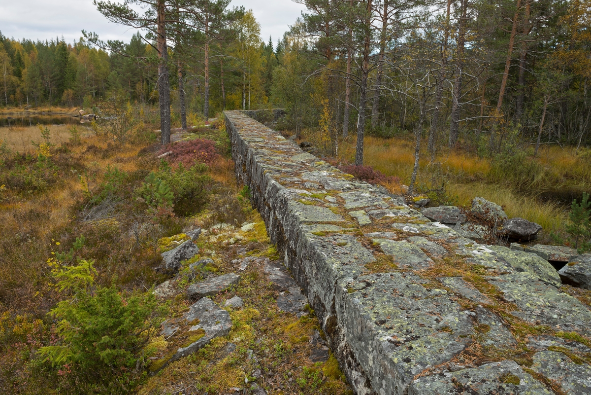 Gråsteinsmurt, men sementfuget damarm ved utløpet av Nedre Bjørvatn eller Nedre Bjorvatn [navneform brukt i dokumenter fram til midten av 1900-tallet] i Tinn i Øst-Telemark.  Nedre Bjørvassdam ligger høyt oppe i den fløtbare delen av Rauavassdraget.  Damarmen er meget presist bygd, antakelig av tuktet stein.  På det stedet der dette fotografiet er tatt later den til å være en drøy meter bred og tilsvarende høy.  Murkrona er så plan at den er behagelig å gå på.  Her kunne det sikkert også kjøres trillebår, om det var behov for det.  Damarmen på dette fotografiet føyer seg etter en bergrygg langs myrkanten.  I forgrunnen går den rett fram et stykke, før den dreier noe mot høyre. Der hvor dette bildet er tatt går den gjennom et myrlandskap hvor det har vokst fram en del krattskog etter at bruken av dammen opphørte.  Da fløtinga pågikk ble slik vegetasjon holdt nede, slik at den ikke skulle være i vegen for arbeidet.  Myrer var for øvrig populære oppdemmingsobjekter der hvor det skulle magasineres mye fløtingsvann, for det flate myrterrenget gav rom for store vannvolumer uten at dammene behøvde å bli så djupe.  Til gjengjeld måtte det bygges lange damarmer i slikt flatt terreng, noe dette fotografiet illustrerer. 

Fløtinga i Rauavassdraget begynte gjerne i midten av mai og pågikk tre-fire uker.  Deretter ble tømmeret fra vassdragets nedslagsfelt buksert mot Tinnoset med slepebåten "Maar".  Utover i 1960-åra krympet fløtinga i sidevassdragene noe, for det ble stadig vanskeligere å rekruttere folk til sesongarbeid langs vassdragene samtidig som mulighetene for lastebiltransport av tømmer ble stadig bedre.  I Rauavassdraget oppsto det i tillegg spesielle problemer knyttet til slitasje på betongforblendinga i Rauatunnelen, nederst i vassdraget.  1968 var det siste året det var fløting her. 