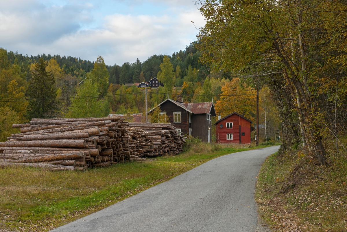 Tømmervelter ved vegen ned mot Hovin brygge i Tinn i Telemark, ikke langt fra Tinnsjøens østre bredd.  Det ubarkete furutømmeret er lagt på ei lita grasslette, på venstre side av vegen og vinkelrett på denne.  Bakenfor tømmerlunna ser vi et toetasjes, laftet våningshus med trappegang i bordkledd bindingsverk mot vegen.  Bak dette huset igjen ses en rødmalt, toetasjes laftebygning, antakelig også et våningshus.  Dette er muligens gardsbruket Mogen.  Høyere oppe i lia skimtes også et annet gardstun, muligens eiendommen Jørisdal. 