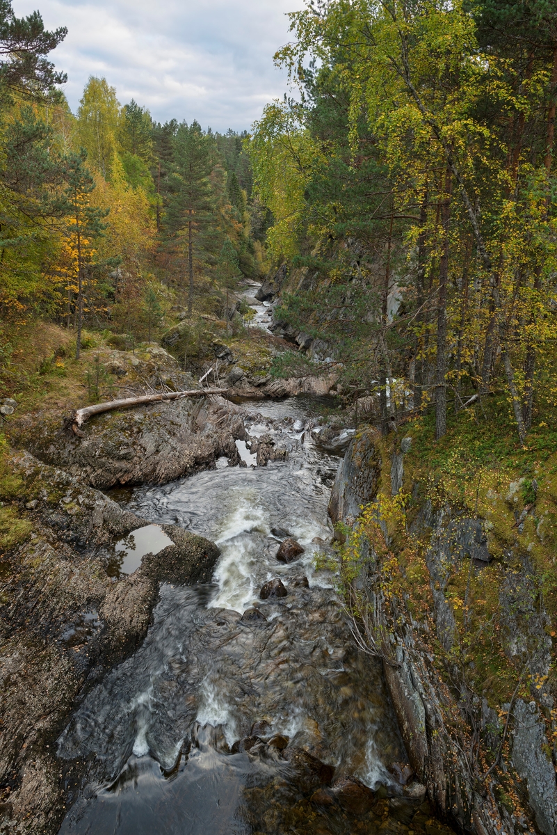 Fra den nedre delen av elva Skjerva eller Skirva i Tinn.  Dette vassdraget renner inn i Tinnsjøen fra øst, like ved Hovin brygge.  Elveleiet renner i en forsenkning i et bergrikt landskap med blandingsskog.  Elvebreddene er, særlig på den ene sida, ganske steile.  Det er heller ikke langt mellom steinskjærene i elvefaret.  Akkurat her må det følgelig ha vært ganske vanskelig å fløte tømmer.  Likevel var det slik aktivitet i dette vassdraget fram til slutten av 1960-åra.  Skjerva eller Skirva var den siste sideelva i Tinnvassdraget som hadde tømmerfløting, til tross for at det måtte mye vann til for å få tømmeret gjennom dette vassdraget.  1970 var siste fløtingssesong i denne elva. 