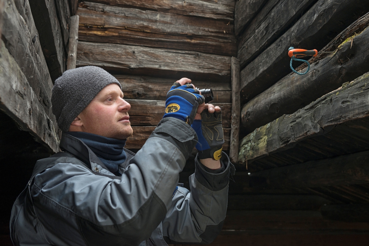 Tømrer Knut-Arild Nordli undersøker om det er råte i en av sideåsene mot ljoreåpningen i fløterkoia fra Varåa i Trysil i Norsk Skogmuseums friluftsmuseum på Prestøya i Elverum [SJF-B. 0016]. Nordli står på eldpallen i koia med godt overblikk over de konstruksjonene der materialkvaliteten skal undersøkes.  Her så han at den ene takåsen er lagt slik at en langsgående tørkesprekk skrår noe nedover, med fare for at fuktighet ledes inn mot kjernen av stokken, hvor det kan utvikles råte.  Nordli undersøker saken ved å stikke en syl i sprekken for å undersøke fastheten på virket.  Inntrengingsgraden dokumenteres med kamera.  Tømreren er kledd i grå arbeidsdress med svarte skulderstykker og med Glomdalsmuseets logo på ryggen, og har grå lue på hodet. Hedmark fylkesmuseums forum for samlingsforvaltning engasjerte Knut-Arild Nordli våren 2012 for å få tilstandsvurdert de antikvariske bygningene i alle fylkesmuseets avdelinger.  Nordli tok sikte på å definere materialbehov og tidsforbruk knyttet til eventuelle restaureringstiltak på alle de cirka 500 antikvariske bygningene museet har ansvar for. Vurderingsarbeidet i Skogmuseets friluftsmuseum på Prestøya startet seinhøstes i 2012.  Ettersom det da var for kaldt til at takkonstruksjonene kunne undersøkes med blant annet fuktmålinger, ble dette arbeidet utsatt til 2013.  Tilstandsvurderinga av antikvariske bygninger i Hedmark fylkesmuseum planlegges videreført også i 2014. 