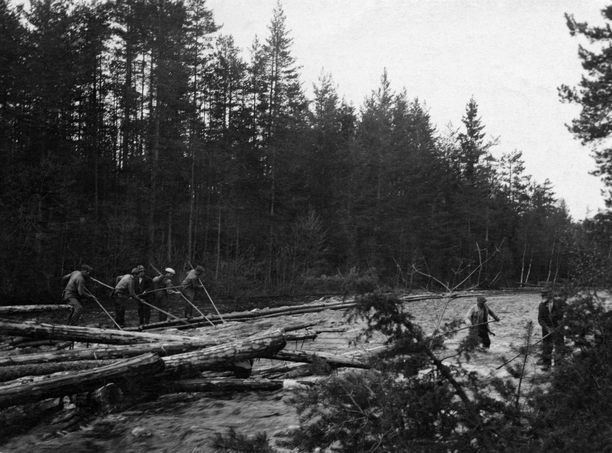 Tømmerfløting – også kalt brøtning – i Skogsåa i Hjartdal i Øst-Telemark.  Fotografiet viser fem karer med fløterhaker som arbeider fra posisjoner bak en tømmerskjerm til venstre i bildet, mens to arbeidskamerater står i vann til knærne til høyre i bildet, der de drar tømmerstokker ut av en haug som tydeligvis har lagt seg opp på ei grunne til venstre i bildet.  Langs vassdraget sto den furudominerte barskogen tett. 