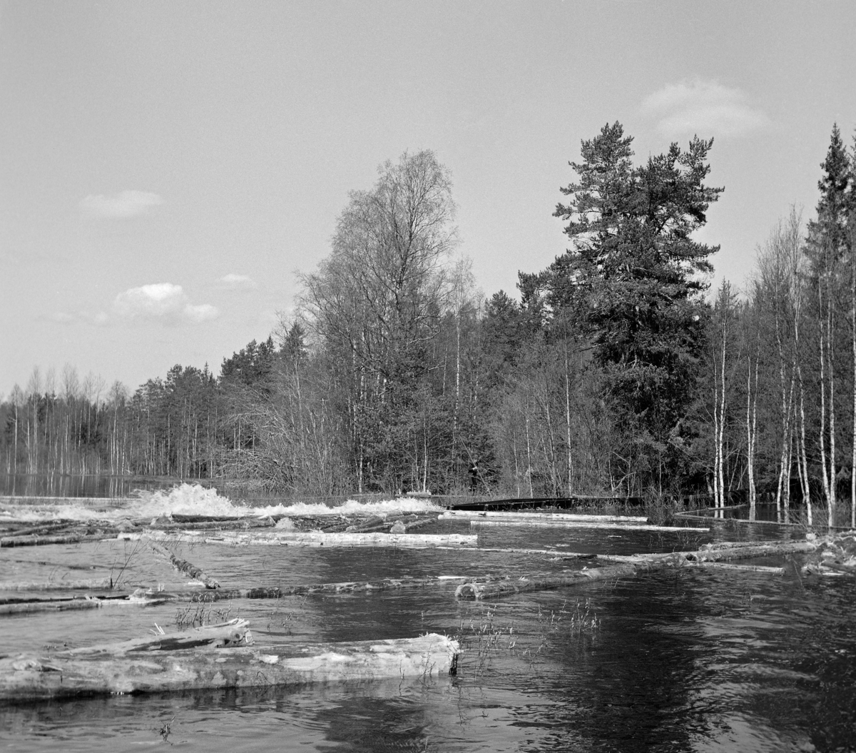 Utløpet av den cirka 1 100 meter lange tømmerrenna i den nedre delen av Fallåa i Romedal allmenning, fotografert i mai 1969.  Bildet er tatt fra sørøstre rennekant i et lende der rennetraséen flater ut i Malungstjernet.  Fotografiet er tatt i medstrøms retning, på et tidspunkt da det flomstore tjernet fikk gran- og bjørketrærne langs strendene og omkring renneutløpet til å stå i vann.  En stokk later til å ha vært på veg ut av renna da fotografiet ble tatt.  Ute i tjernet skimtes atskilling løstømmer.  Dette er ei såkalt «plankerenne» eller «våtrenne».  Renneløpet er lagd av planker, antakelig av to-tre tommers tjukkelse, muligens med et slitelag av en eller halvannen toms bord i botnen innvendig.  Slike renner fikk gjerne et trapesformet tverrsnitt med botnbredde på 40-60 og en åpning på 75-100 centimeter mellom overkantene, noe som later til å være tilfellet her også, sjøl om eksakte mål ikke kan fastslås ut fra fotografiet. Behovet for ei tømmerrenne i Fallåa skyldtes at dette lille fløtingsvassdraget passerte et bratt fall cirka en kilometer før det nådde utløpet i Malungstjernet.  Her hadde tømmeret lett for å splintres eller å sette seg fast.  Derfor bygde trelastfirmaet Westye Egeberg & Co. ei tømmerrenne på dette stedet i 1890-åra.  Denne første renna var ment som ei våtrenne, som den på fotografiet, men den fungerte ikke helt etter intensjonene.  Ettersom inntakspunktet for renna var plassert litt nede i den bratte skrenten, skal tømmeret ha blitt kastet inn i renna i så stor hastighet at tømmerstokkene så å si seilte fra vannet, som kom støtvis etter.  Dette innebar mye slitasje på rennelegemet, og stadige reparasjonsbehov.  Derfor bestemte man i 1914 at renna skulle forlenges og forhøyes, slik at tømmerinntaket kunne flyttes til en damkonstruksjon – seinere kalt Rennedammen – noe høyere oppe, ovenfor det bratte partiet.  Dermed oppnådde fløterne jevnere vannføring og noe langsommere framdrift for fløtingsvirket.  Der renna krysset den daværende kjerrevegen mellom Vallset og Odalen ble det bygd bru over renna.  Renna fra 1914 var i bruk fram til 1934.  Romedal allmenning, som i mellomtida hadde overtatt Westye Egeberg & Cos eierskap til skogen i dette området, bygde da ei helt ny renne der den forrige hadde stått.  Samtidig ble Renndammen forhøyet og pusset med sement.  Renna fra 1934 var i bruk i 35 år, altså fram til våren 1969, da dette fotografiet ble tatt. 