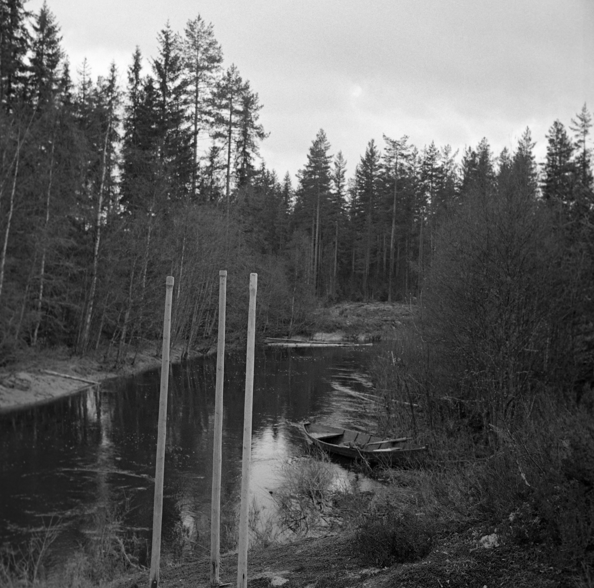 Stemning fra fløtingsvassdraget Julussa i Elverum i Hedmark våren 1969.  Fotografiet er tatt fra en elvebrink der fløterne kvilte (jfr. SJF-F. 006704).  I forgrunnen står tre fløterhaker med den framoverrettete spissen, «stingar’n», stukket ned i bakken.  Nedenfor ser vi et forholdsvis stilleflytende elveparti, der en robåt fløterne brukte er trukket inn mot land.  Langs elvebreddene vokste det en del lauvskog som ennå ikke hadde fått vårens lauv da dette fotografiet ble tatt.  Ellers er det furua som dominerer vegetasjonsbildet langs elva. 

1969 var siste fløtingssesong i Julussa.  Det ble fløtet 40 580 stokker med et samlet kubikkmetervolum på 4 277.  Dette var bare cirka 15 prosent av det fløtingsvolumet vassdraget hadde hatt i de første åra etter 2. verdenskrig. 