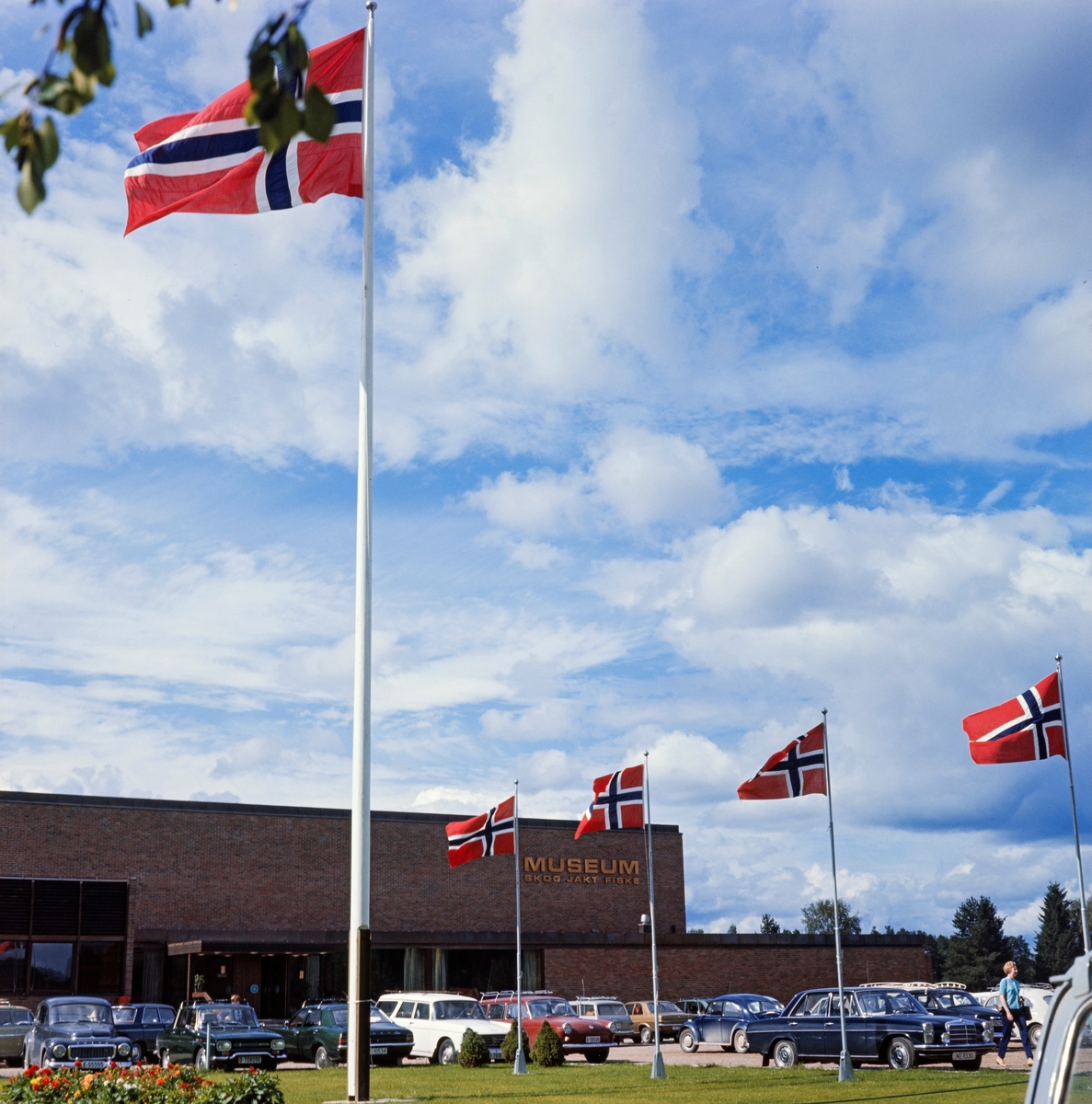 Norsk Skogbruksmuseums fasade mot Solørvegen, fotografert den 22. juni 1971, da museumsbygningen ble offisielt åpnet med kong Olav V som en viktig seremoniell aktør.  Bildet er tatt fra plenflata foran bygningen, der norske flagg vaiet på flaggstengene og parkeringsplassen var oppfylt av personbiler.  I bakgrunnen ser vi teglsteinsfasaden på det nye museumsbygget, som var reist av entreprenørfirmaet Martin M. Bakken etter tegninger fra arkitektfirmaet Duus, Fiane og Thorstensen.  Bygningsskallet sto egentlig ferdig våren 1970, men man ønsket å fylle det med aktivitet og en del utstillinger før man foretok den offisielle åpningen, i forbindelse med museets representantskapsmøte i 1971. 