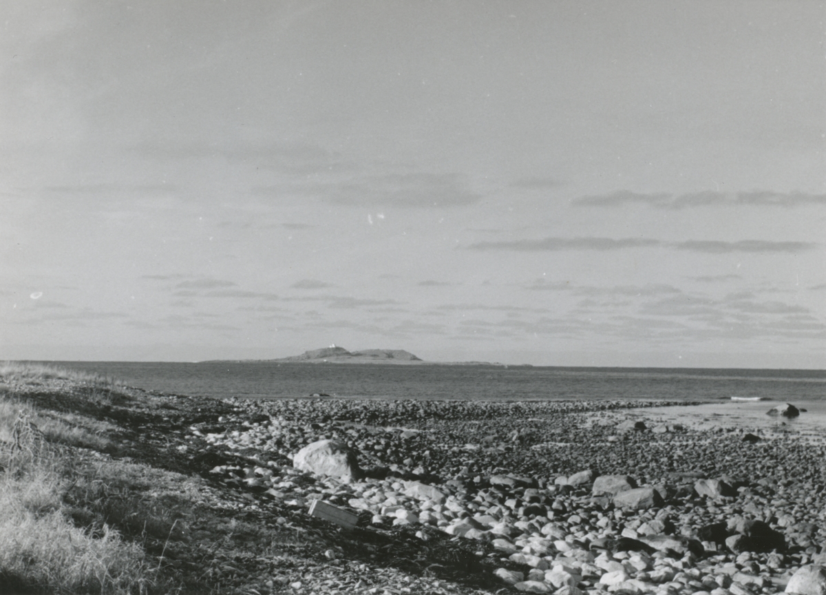 Landskapsbilder fra strandområdet ved Giskeøygarden.