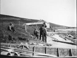 Otto Mejlænders fotosamling, Trysil, Hedmark