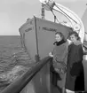 Statens Järnvägars Luciatåg, 1958, på M/S Trelleborg