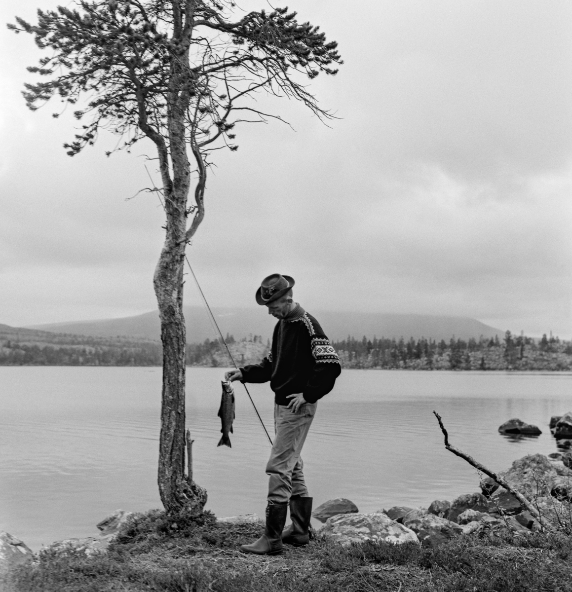 Sportsfiskeren Kjell Søgård (1936-1971) poserer med en pen ørret han nettopp hadde tatt på stang i et av vatna i Femundsmarka i Engerdal i Hedmark.  Fotografiet er tatt mot stranda, der fiskeren har stilt stanga si mot ei furu, mens han sjøl står cirka en meter fra treet, hvor han holder fisken i høyre hånd med vannspeilet som bakgrunn.  Søgård var kledd i lyse bomullsbukser og mørk strikkegenser.  Han hadde hatt på hodet og langskaftete gummistøvler på beina.  På motsatt side av det nevnte vatnet ser vi ei strandsone med glissen furuskog, og i bakgrunnen et høydedrag der de toppen er innhyllet i tåke. 