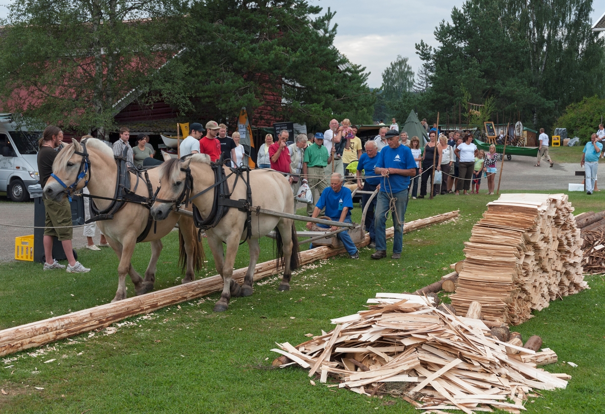 Flisbane på Norsk Skogmuseum under De nordiske jakt- og fiskedager 2006.  Bildet viser hvordan tre tradisjonsbærere fra Odalen (Kjell Haugen, Bjørn Haugen og Ola Kolstad) – her iført blå T-skjorter som var dette årets funksjonærantrekk under arrangementet – produserer takflis.  De har først lagt et par rettvokste granstokker i ei rett linje på grassletta hvor arbeidet foregår, boret hull i dem med navar, og forankret dem i bakken ved hjelp av plugger av ospeved.  Så høvles disse delvis ned, og deretter brukes de som underlag for neste lag med emneved – «flisrajer» – som også festes med treplugger.  Flisa produseres ved hjelp av en diger høvel, lagd av en massiv stokk med styrelekter langs hver av sålens sidekanter, og med ei kvass ståltann som skjærer løs cirka fem millimeter tjukke fliser for hver tur.  Høvelen – som kalles «flisokse» - trekkes av to hester (fjordinger), som en av karene kjører, mens to andre betjener høvelen.  Den ene av disse går bak og styrer, mens den andre sitter på høvelstokken, slik at «flisoksen» ligger godt nedpå og høvler flis med jevn tjukkelse.  Til høyre i forgrunnen ser vi en haug med «vrakflis» samt en stabel med ferdigprodusert flis.  Ola Kolstad og flisbanelaget hans deltok under jakt- og fiskedagene i mange sesonger, og ble etter hvert hedret for sin presentasjon av en tradisjonell handverksaktivitet med materialer fra skogen av arrangøren, Norsk Skogmuseum.  Museet produserte dessuten en instruksjonsvideo i VHS-format om flisproduksjon og taktekking med flis med disse karene som hovedaktører (1998).  I bakgrunnen ser vi noen av de 33 089 personene som løste billetter til jakt- og fiskedagene i 2006. 