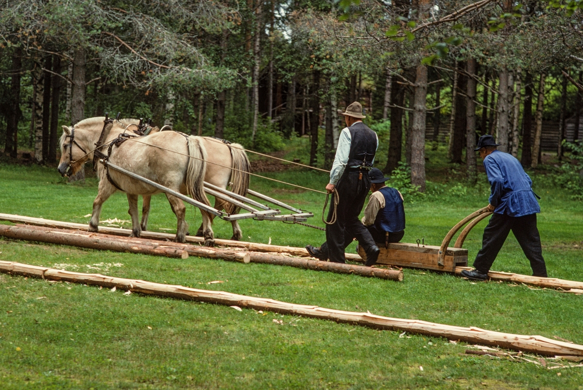 Produksjon av takflis ved hjelp av en diger høvel, som kalles «flisokse», og to hester (i dette tilfellet fjordinger) i Norsk Skogmuseums friluftsmuseum på Prestøya sommeren 1998.  Arbeidet med å etablere en såkalt «flisbane» på denne sletta startet med at karene la «flisrajer» – emneved av rettvokst, småkvistet unggran – etter hverandre i to rette linjer på bakken.  Karene boret hull i flisrajene med navar.  Gjennom disse hullene ble det slått plugger av ospevirke ned i bakken.  Deretter ble oversida av flisrajene barket ved hjelp av barkespade og ujevnheter ble telgjet bort med øks.  Karene skar hakk på tvers av flisrajene med en innbyrdes avstand av cirka 50 centimeter.  Deretter kunne den egentlige flisproduksjonen starte.  Den ble utført med en diger høvel, en såkalt «flisokse».  Den besto av en massiv stokk med styrelister langs såleflatas ytterkanter.  Den hadde også et kvast stålblad, som i hvert «drag» høvlet cirka fem millimeter av veden i flisrajene.  Flisoksen var forspent to hester (i dette tilfellet fjordinger).  En av karene (Ola Kolstad) kjørte hestene, en (Bjørn Haugen) styrte flisoksen og en (Kjell Haugen) satt på den, for å trykke den så godt «nedåt» at den høvlet flis med jamn tjukkelse.  Etter at de første flisrajene var høvlet nesten ned til midtmargen, ble et nytt sett av flisrajer lagt oppå og festet med ospeplugger, jamnet, barket og skåret i høvelige flislengder, før kjøringa med flisoksen kunne fortsette.  Det er i denne fasen av arbeidet dette fotografiet er tatt.  Flisbanen besto altså av to parallelle linjer av flisrajer, slik at karene kunne kjøre «fram» på den ene og «attende» på den andre.  Mellom de to rekkene av emneved lå det noen få ubarkete flisrajer som skulle monteres på flisbanen når det bare var igjen halvannen til to tommer kjerneved av dem man høvlet på her. 