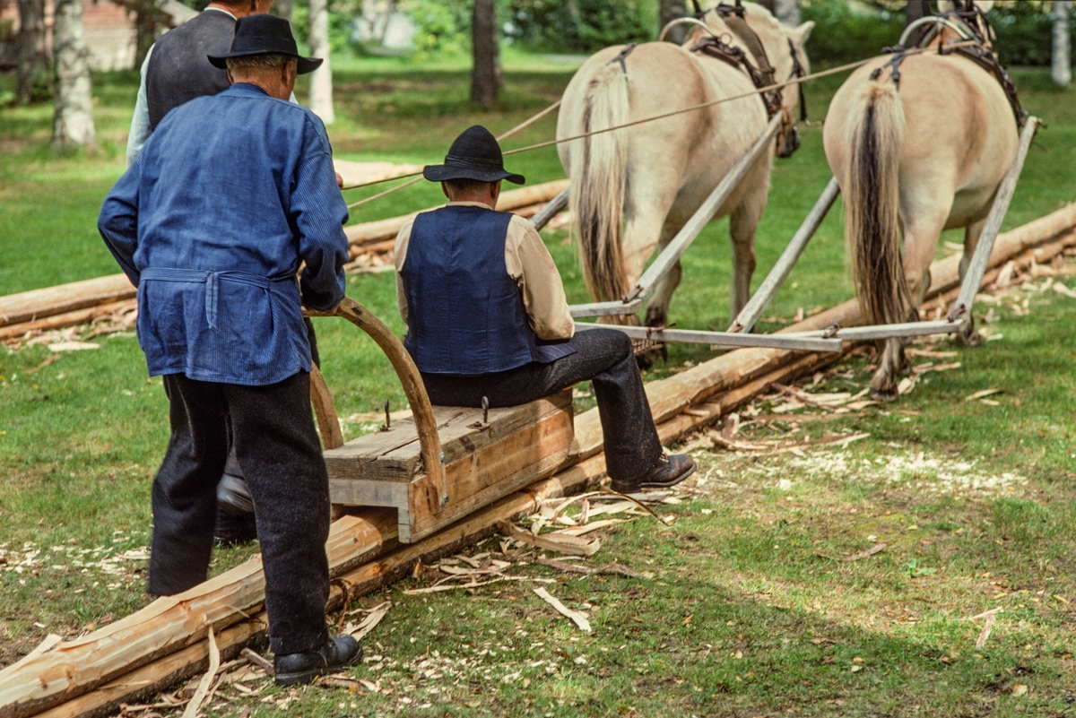 Produksjon av takflis ved hjelp av en diger høvel, som kalles «flisokse», og to hester (fjordinger) i Norsk Skogmuseums friluftsmuseum på Prestøya sommeren 1998.  Arbeidet med å etablere en såkalt «flisbane» på denne sletta startet med at karene la «flisrajer» – emneved av rettvokst, småkvistet unggran – etter hverandre i to rette linjer på bakken.  Karene boret hull i flisrajene med navar.  Gjennom disse hullene ble det slått plugger av ospevirke ned i bakken slik at emneveden ble godt forankret i underlaget.  Deretter ble oversida av flisrajene barket ved hjelp av barkespade og ujevnheter ble telgjet bort med øks.  Karene skar hakk på tvers av flisrajene med en innbyrdes avstand av cirka 50 centimeter.  Deretter kunne den egentlige flisproduksjonen starte.  Den ble utført med en diger høvel, en såkalt «flisokse».  Den besto av en massiv stokk med styrelister langs såleflatas ytterkanter.  Den hadde også et kvast stålblad, som i hvert «drag» høvlet cirka fem millimeter av veden i flisrajene.  Flisoksen var forspent to hester (i dette tilfellet fjordinger).  En av karene (la Kolstad, til venstre i bakgrunnen) kjørte hestene, en (Bjørn Haugen) styrte flisoksen og en (Kjell Haugen) satt på den, for å trykke den så godt «nedåt» at den høvlet flis med jamn tjukkelse.  Etter at de første flisrajene var høvlet nesten ned til midtmargen, ble et nytt sett av flisrajer lagt oppå og festet med ospeplugger, jamnet, barket og skåret i høvelige flislengder, før kjøringa med flisoksen kunne fortsette.  Det er i denne fasen av arbeidet dette fotografiet er tatt.  Rajene ble for øvrig snudd før høvelen nådde margen.  Kjerneveden som sto igjen til slutt ble ofte brukt til taklekter.  Flisbanen besto for øvrig av to parallelle linjer av flisrajer, slik at karene kunne kjøre «fram» på den ene og «attende» på den andre.  Helt til venstre i dette bildet ser vi en stabel med ferdighøvlet takflis. 