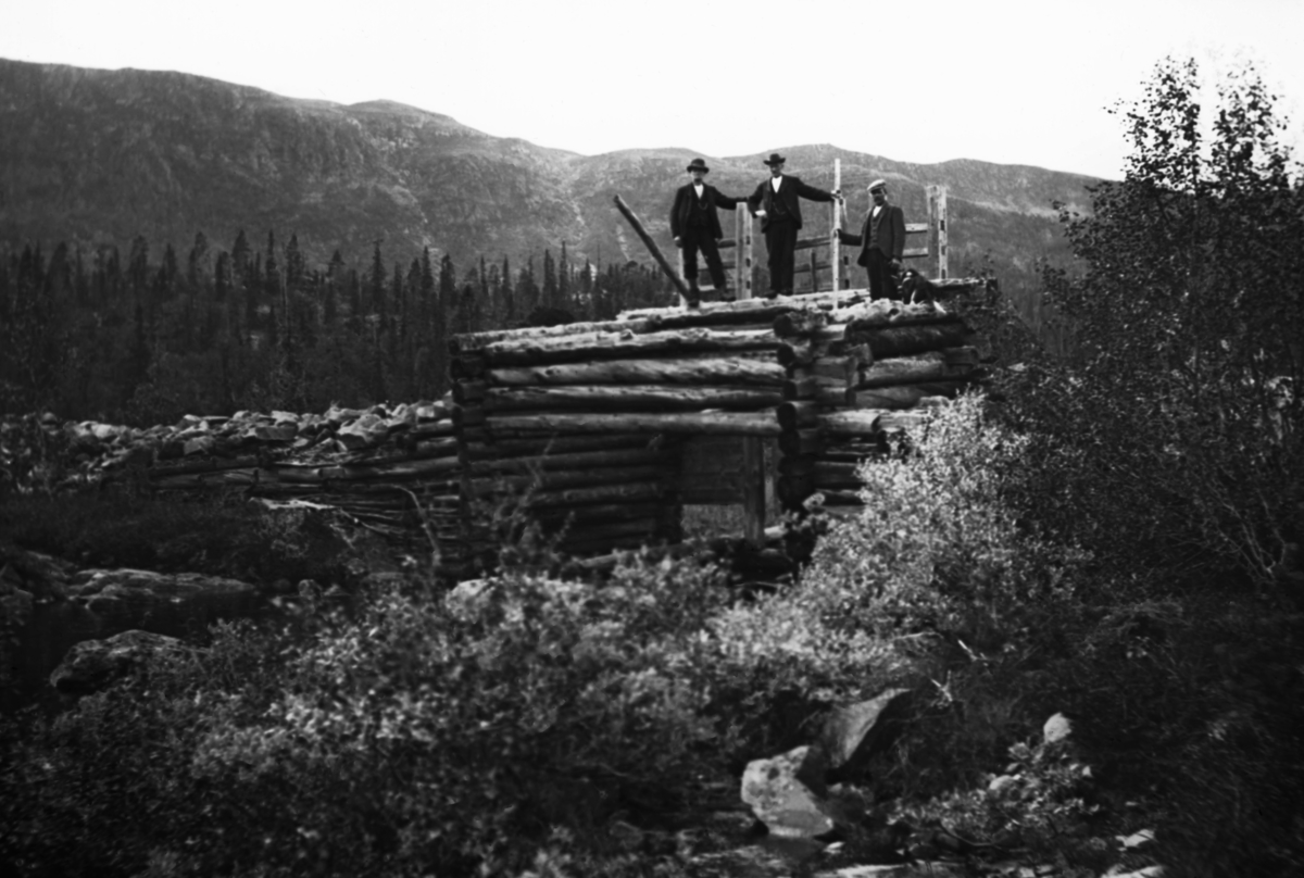 Tysetdammen i Skirvavassdraget (Skjervavassdraget) i Tinn i Telemark.  Denne dammen regulerte Tysettjønnet, som ligger på vestsida av Skirva i cirka 800 meters høyde over havet.  Hensikten med å lage en dam her må ha vært å skape et vannreservoar som kunne komme fløtinga videre nedover i hovedvassdraget til gode.  Tysetdammen var en steinfylt tømmerkistedam, som da dette fotografiet ble tatt, antakelig tidlig på 1900-tallet, begynte å bli ganske forfallen.  Bildet er tatt skrått mot damløpet fra motstrøms side.  Over dette løpet var det laftet ei kasse med fem kvarv, som støtte for lukestengslene på damsida.  Da dette fotografiet ble tatt sto tre karer, som tydeligvis var på befaring, oppå denne kassa.   Dammen sto åpen.  I bakgrunnen skimter vi en bakkekam med glissen granskog, og bak denne en fjellrygg som lå over tregrensa. 