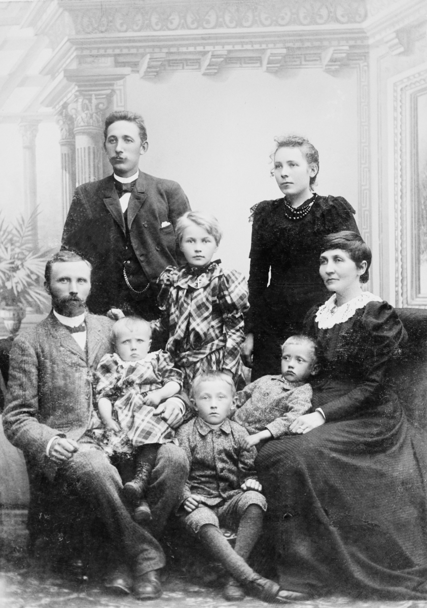 Studiofotografi av familien Sandbæk, som i perioden 1882-1895 bodde på eiendommen Gravberget i Våler i Hedmark, der familiefaren Martinius Pedersen Sandbæk (1855-1934) var skogsbestyrer for familien Kiær, som drev eide og drev sagbruk i Fredrikstad-området.  Marius Pedersen Sandbæk sitter til venstre i bildet, med kona Hanna Hansdatter f. Dahl (1854-1926) til høyre.  Martinius hadde dattera Oleane (1892-1977) på fanget, mens sønnen Per (1889-1982) satt hos mora si.  Eldstegutten Hans (1886-1965) satt på en krakk mellom foreldrene og småsøskenene, og den eldste dattera Marie (1885-1966) sto bak ham.  Martinius Sandbæk, som lånte museet dette fotografiet, mente at den unge mannen bak til venstre var Per Pedersen Sandbæk (1845-1912), musiker og tømmermerker, som skal ha assistert broren sin da han bestyrte Gravbergsskogen.  Dette er tvilsomt, for han skal ha vært ti år eldre en broren Martinius (foran), noe som med utgangspunkt i de to mennenes utseende virker usannsynlig.  

Etter at dette fotografiet ble publisert på Digitalt museum har et annet medlem av Sandbæk-familien levert følgende hypotese om identiteten til de to unge voksne som står bakerst på bildet:

«Hva om dette faktisk er søsknene Olaf Peter og Helga Sigrid Pedersen, barna til halvbroren til Martinius, Michel som ble lærer ved Borgerskolen i Oslo? Olaf Peter Augustin var ikke yngre bror til Martinius, men altså nevø, og han kalte seg ikke Sandbæk, men Pedersen - han var født 1862. Olaf var handelsassistent for Martinius i 1891 og Helga var lærerinne i Elverum samme år. Martinius hadde åpnet landhandel på gården i 1891.»