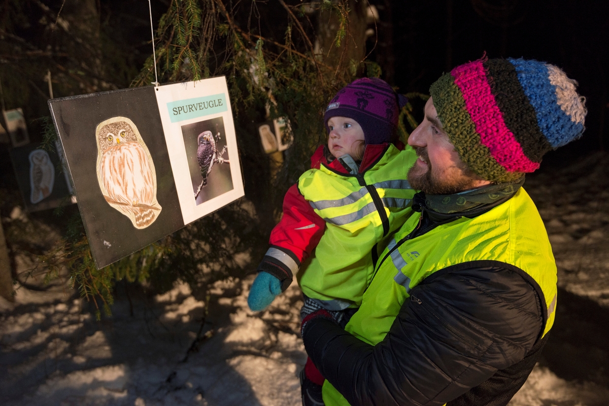 Bilde av mann som holder ei jente på armen ved posten om spurveugle på naturstien til Elverum lokallag av Norsk Ornitologisk Forening avdeling Hedmark under åpningen av Friluftslivets år 2015 i Elverum, Fiskedammen på Prestøya i Glomma, kvelden 13.01.2015.