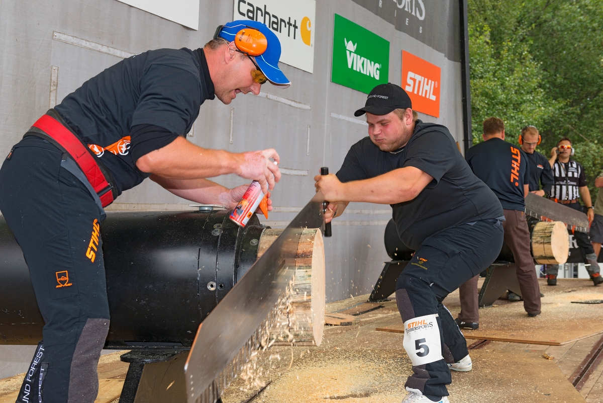 En av deltakerne i «Det 6. nordiske mesterskap i Stihl Timbersports» under De nordiske jakt- og fiskedager på Norsk Skogmuseum i 2014 fotografert idet han kappet ei skive av en forholdsvis grov tømmerstokk som var festet i et stålrør på scenen som ble brukt under konkurransen.  Mannen arbeider med ei uvanlig stor, kraftig, langbladet og høveltannet handsag.  Ansiktsuttrykket gjenspeiler tydelig at dette var tungt arbeid.  En lagkamerat forsøkte åpenbart å lette saginga ved å spraye sagbladet med noe som skulle redusere friksjonen i sagskåret. Bildet er øyensynlig fra en slags stafettkonkurranse, for vi ser et tilsvarende kappelag og en dommer og kommentator i svart- og kvitstripete skjorte til høyre i bakgrunnen.  I Stihls tømmersportskonkurranse kappes utøverne i hurtighet og presisjon ved bruk av økser, handsager og digre motorsager («Hot saw»).  Sjølve konkurransen samlet 16 handplukkete kraftkarer fra Danmark, Norge og Sverige.  De beste aktørene kvalifiserte seg for deltakelse i verdensmesterskapet i Insbruck i Østerrike.  Konkurransene under jakt- og fiskedagene i 2014 var fordelt på fire dager: ungdomsøvelser på torsdag, lagstafett på fredag, individuelle øvelser for etablerte utøvere på lørdag og show på søndag.

«Stihl timbersports» er en internasjonal konkurranse for tømmerhoggere. Den har sitt utspring i Canada, USA og New Zeeland, der skogsarbeidere alt på 1800-tallet skal ha arrangert lokale konkurranser for å kåre den beste blant dem. Med tida ble det utviklet tester for vurdering av styrke og ferdighet i konkurranser på høyt nivå med profesjonelle aktører. I 1985 stiftet STIHL Inc. USA, i samarbeid med sportskanalen ESPN, det som ble «Stihl timbersports series», som er en konkurranseserie i USA og Europa.  2014 var det første året slike konkurranser ble avviklet i Norge. Konkurransene består av seks grener: tre med øks, to med motorsag og en med svans. Øvelsene simulerer felling av stående trær og kapping av felte trestammer. Utøverne får testet arbeidsteknikk, styrke og utholdenhet.