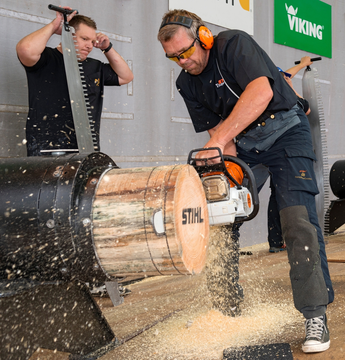 En av deltakerne i «Det 6. nordiske mesterskap i Stihl Timbersports» under De nordiske jakt- og fiskedager på Norsk Skogmuseum i 2014 fotografert idet han kappet ei skive av en forholdsvis grov tømmerstokk som var festet i et stålrør på scenen som ble brukt under konkurransen.  Mannen arbeider med ei uvanlig stor, kraftig og langsverdet motorsag fra Stihl-fabrikken.  Utøveren var utstyrt med øreklokker og beskyttelsesbriller.  Til venstre står en annen deltaker med ei diger høveltannet handsag, og med fingrene i ørene i det voldsomme bråket som sagene skapte. I Stihls tømmersportskonkurranse kappes utøverne i hurtighet og presisjon ved bruk av økser, handsager og digre motorsager («Hot saw»).  Sjølve konkurransen samlet 16 handplukkete kraftkarer fra Danmark, Norge og Sverige.  De beste aktørene kvalifiserte seg for deltakelse i verdensmesterskapet i Insbruck i Østerrike.  Konkurransene under jakt- og fiskedagene i 2014 var fordelt på fire dager: ungdomsøvelser på torsdag, lagstafett på fredag, individuelle øvelser for etablerte utøvere på lørdag og show på søndag.