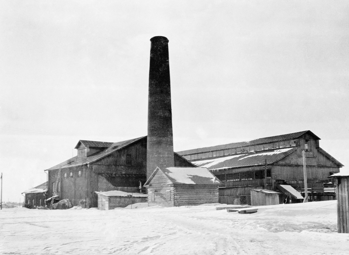 Drammensfirmaet Bache & Vigs sagbruk i byen Onega ved Kvitsjøen i Nordvest-Russland.  Egil Abrahamsen (1893-1979) som var ansatt i det nevnte firmaet og deltok i bygginga av anlegget, forteller at lokalbefolkningen omtalte Bache & Vig-saga som «Dalnij», «den langt bortliggende», fordi den lå cirka tre kilometer nedenfor Onega by, mens de eldre sagbrukene lå nærmere. Det avbildete sagbruket ble bygd i 1910, men fotografiet er antakelig tatt noen år seinere.  Bygningsmessig sett besto bruket tilsynelatende av to store bygningsvolumer, med en del andre, omliggende småhus.  Til venstre ser vi en «låveliknende» bygning, et volum i to høye etasjers høyde, med en ark på taket.  Den var forlenget i en etasje ved den gavlen som lå lengst fra opptaksstedet, mens det var murt ei høy og vid, rund skorsteinspipe for dampmaskinen som drev maskinene ved den gavlen som lå mot fotografen.  Foran pipa ser vi et mindre laftehus.  Bakenfor (til høyre i bildet) ser vi et stort saghus, oppført i bordkledd bindingsverk.  Sammenhengende rekker av vinduer på den øvre delen av langveggene, og langsetter et oppbygg med saltak i mønepartiet, skulle antakelig gi innsig av dagslys, og dermed et innemiljø hvor det i hvert fall sommerstid var godt arbeidslys.  Bruket var bygd med sikte på drift i den lyse årstida.  Det hadde seks rammesager, som gikk i ti-timers skift, dag og natt i driftsperioden.  Det var pauser fra seks til halv ni om morgenen og fra halv seks til ni om kvelden.  Produksjonskapasiteten – i løpet av den nevnte produksjonsperioden – var 15 000 standards.

Egil Abrahamsen (1893-1979), som arbeidet for Bache & Vig da dette sagbruket ble reist, forteller blant annet:

«Walstad mottok meg vel, ja, med stor glede.  Han var eneste russisk-talende skandinav og hadde tre norske, to svenske og to tyske montører, som ikke kunne russisk, men var avhengige av russiske hjelpemannskaper.  Og arbeidet hastet, et svært lager av tømmer var avvirket og trukket på land for skur, mens selve bruket bare var halvferdig.  Så min første jobb ble å fly fra det ene arbeidslag og montør til det andre, og jeg skal si jeg ble en opptatt mann!  Boligbyggingen [arbeiderboliger] var bortsatt til russere og var godt fremskredet, likeså kontor og brygger. …..

Arbeidet med monteringen gikk bra for meg.  Jeg lærte fort de tekniske uttrykkene maskinfaget krevet, både på norsk og russisk.  Med de norske og svenske montørene bar det ingen vanskeligheter med sproget, og til og med med tyskeren gikk det så noenlunde.  Litt tysk kunne jeg, og litt dansk kunne han, da han var holsteiner …  

Ute i februar ble omsider alt maskinelt utstyr prøvekjørt, den daglige regulære drift kunne begynne og montørene kunne reise.  …»