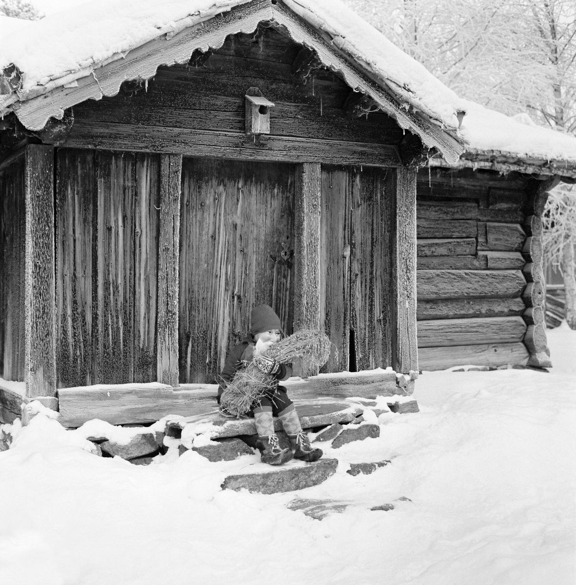 Nisseskikkelse, fotografert på trappa foran Hansmo-stua fra Tynset, slik det sto i Glomdalsmuseets friluftsmuseum i Elverum.  Bildet ble tatt en kald vinterdag like før jul i 1963.  Nissen satt på dørhella foran svalen til det nevnte museumshuset med et fugleband av havre i armene.  Marka og hustaket var dekt av snø, og et rimlag tydeliggjorde strukteren i så vel laftetømmeret på bygningskjernen som bordkledningen på svalen på Hansmo-stua.