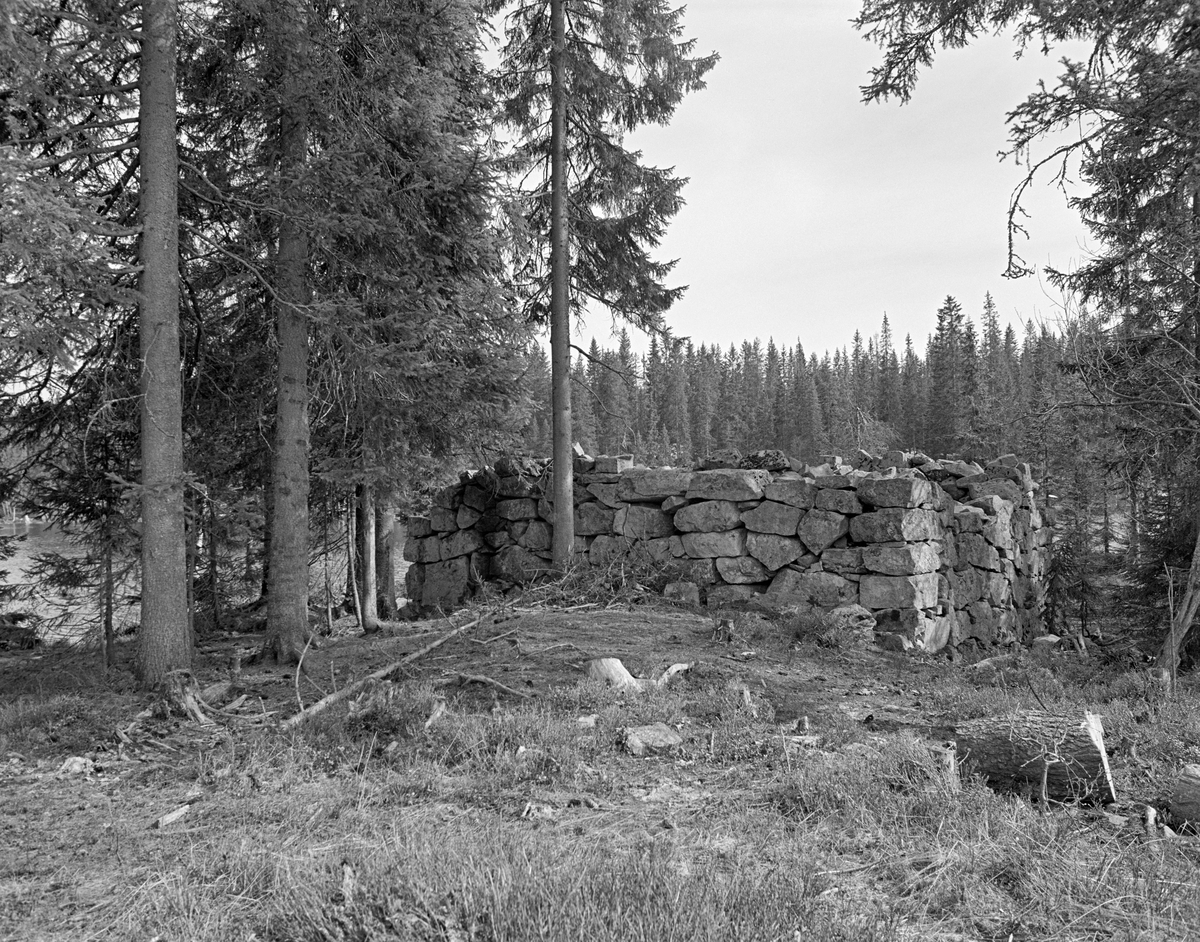 Hjulhus nummer 12 ved Vassendvika i sjøen Storflåtan på Ringerike.  Dette er et tørrmurt natursteinsfundament som ble bygd for å bære det tolvte og øverste vasshjulet som inngikk i den opprinnelige kjerraten i Åsa.  Anlegget ble bygd i perioden 1803-1803, og konstruktøren Samuel Bagge mente at han – ved å lede sammen vann fra Geitmyrbekken, Vikseterbekken og Vambubekken – skulle kunne drive et overfallshjul som kunne trekke tømmer over den 1 200 meter lange bakkekammen mellom Damtjern og Storflåtan.  Dette lyktes dårlig, så kjerraten på denne strekningen ble ganske raskt erstattet av en hestejernbane der stokkene kunne trekkes på vogner.  Fundamentet for hjulhuset var imidlertid fortsatt godt bevart da dette fotografiet ble tatt, over 170 år etter at drifta av tolverkjerraten ble oppgitt.  Det samme kan sies om en del av pilarene for den tilhørende rullebanen for tømmer, som ikke ses på dette bildet.