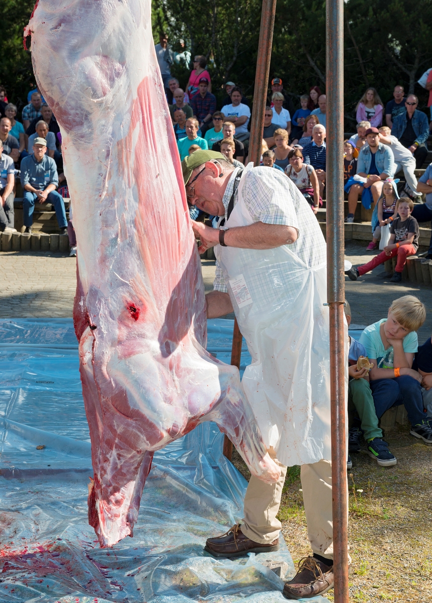 Vidar Holthe, fotografert mens han demonstrerte og orienterte om feltbehandling av elg under De nordiske jakt- og fiskedager på Norsk Skogmuseum i 2015.  Fotografiet er tatt i museets friluftsamfi, der Holthe og hans medhjelpere hadde satt opp et digert jernstativ med ei talje, hvor de heiste dyreskrotten etter bakbeina.  I bakgrunnen skimter vi et fullsatt amfi med et interessert publikum.

Demonstrasjon av feltbehandling og partering av elg er hvert år en fast post på lørdagsarrangementet under De nordiske jakt- og fiskedager, og dette innslaget samler hvert år et stort og interessert publikum.  Her får jegerne et interessant  oppfriskingskurs i ferdigheter som de bør beherske.  Kursleder Vidar Holthe har biologisk utdanning, og var gjennom størstedelen av sitt yrkesaktive liv utmarksrådgiver i Norges Skogeierforbund.  I denne stillingen var jakt og forvaltning av jaktrettigheter et sentralt arbeidsfelt.  Holthe var også Skogeierforbundets representant i programkomiteen for De nordiske jakt- og fiskedager, og det var i denne sammenhengen han påtok seg å lære jakt- og fiskedagspublikummet feltbehandling av rådyr og elg.  Denne oppgaven har han løst mange ganger for fullsatte amfier, noe som er bakgrunnen for at han humoristisk er blitt kalt «riksflåer'n».  Vidar Holthe mottok viltstellprisen under Norges Jeger- og Fiskerforbunds årsmøte i 2009, og også Norsk Skogmuseum har hedret ham for hans innsats under De nordiske jakt- og fiskedager gjennom mange år.