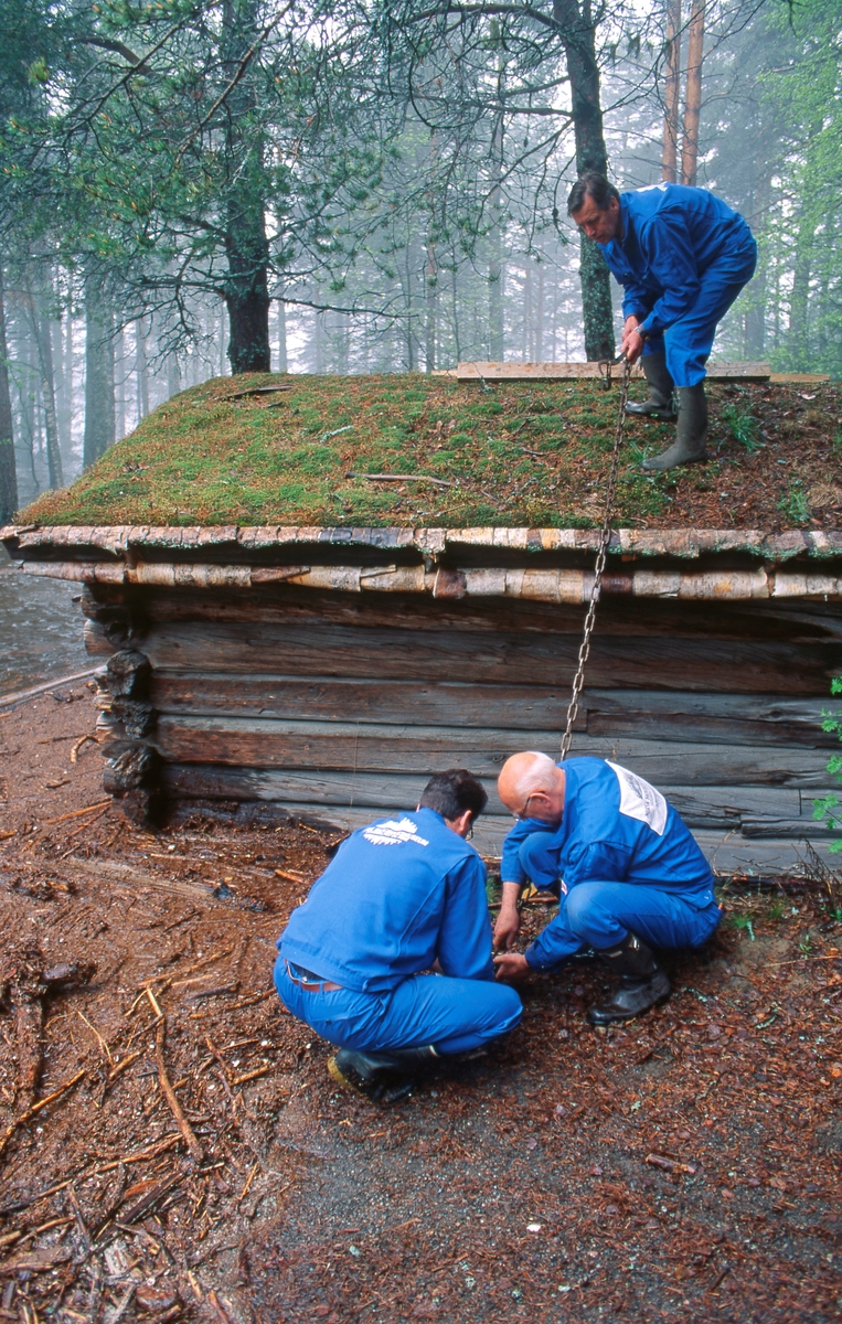 Sikringsarbeid i Norsk Skogbruksmuseums friluftssamling på Prestøya i forbindelse med storflommen i Glomma i 1995.  Da dette fotografiet ble tatt var tre av museets vaktmestre i ferd med å spenne en kjetting over mønet på naustet fra Breisjøen i Alvdal (SJF-B.0011) idet flomvannet var i ferd med å nå den fremre gavlveggen.  Ove Jarne Østby sto på taket, mens Kjell Magne Kaveldiget og Håkon Sæle forsøkte å forankre kjettingen på bakken.  Som naust er dette huset rimelig nok plassert forholdsvis lavt i terrenget, men likevel et godt stykke fra den vanlige elvebredden.  De store vannstandsvariasjonene i vassdraget innebærer likevel at Breisjønaustet er en av de første bygningene som berøres av flom.  Kommer det mye vann, er det en viss fare for at bygningen løftes fra fundamentene og driver vekk.  Det var dette man forsøkte å forebygge ved spenne en kjetting over husets møne med steiner på marka som forankringspunkter.  Fotografiet viser også at karene la 2"X4" under kjettingen ved mønet for å forebygge gnisseskader på taktekkinga.  Erfaringer viste etter hvert at det var bedre å forankre bygningene med lastestropper med strammeinnretning enn å bruke kjettinger eller vaiere.