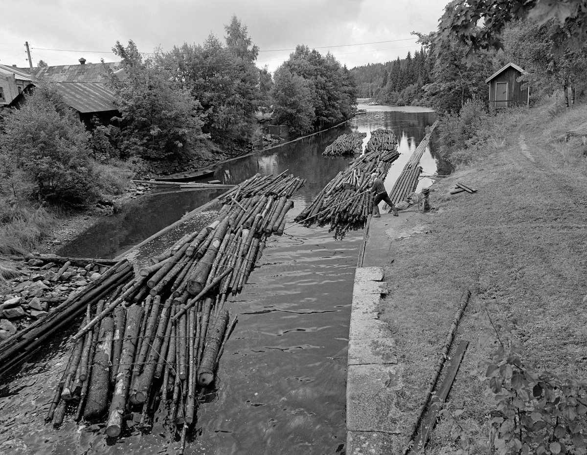 Fløtingstømmer på veg ut av Ørje sluser i Marker kommune i Østfold (Haldenvassdraget).  Fotografiet er tatt i 1982, den siste sesongen det foregikk tømmerfløting i dette vassdraget.  Da ble det bare fløtet ubarket massevirke (papirråstoff) til Saugbrugsforeningen i 3 meters lengder.  Mesteparten av tømmeret ble utislått i bunter - «moser» - fra lastebiler ved Skulerud.  Derfra ble de slept over Rødenessjøen til sluseanlegget ved Ørje, hvor slepet ble delt opp i kortere lenker (her fire moser) som passet inn i slusekamrene.  Ørje sluser har tre slike kamre, som utlikner en nivåforskjell på ti meter mellom ovenforliggende og nedenforliggende vassdrag (Rødenessjøen og Ørjeelva).  I Ørjeelva ble slusevendingene bundet sammen igjen for videre buksering med slepebåt.  Da dette fotografiet ble tatt arbeidet pensjonert slusemester Odd Johansen (1917-1993) med en lang fløterhake for å få slusevendinga til å legge seg pent ved siden av en «lenk» som allerede lå inntil gangbanen langs vestre elvebredd.  Huset vi ser gavlen på i elveskråningen til høyre var ei lita kvilehytte som ble brukt av tømmerfløterne ved Ørje.

Det første sluseanlegget ved Ørje ble bygd i perioden 1857-1860, og fra 1877 ble tømmer fra de øvre delene av vassdraget fløtet ned til industrien i Halden på et kanalisert vassdrag.  En kort historikk om fløtinga i Haldenvassdraget finnes under fanen «Opplysninger».