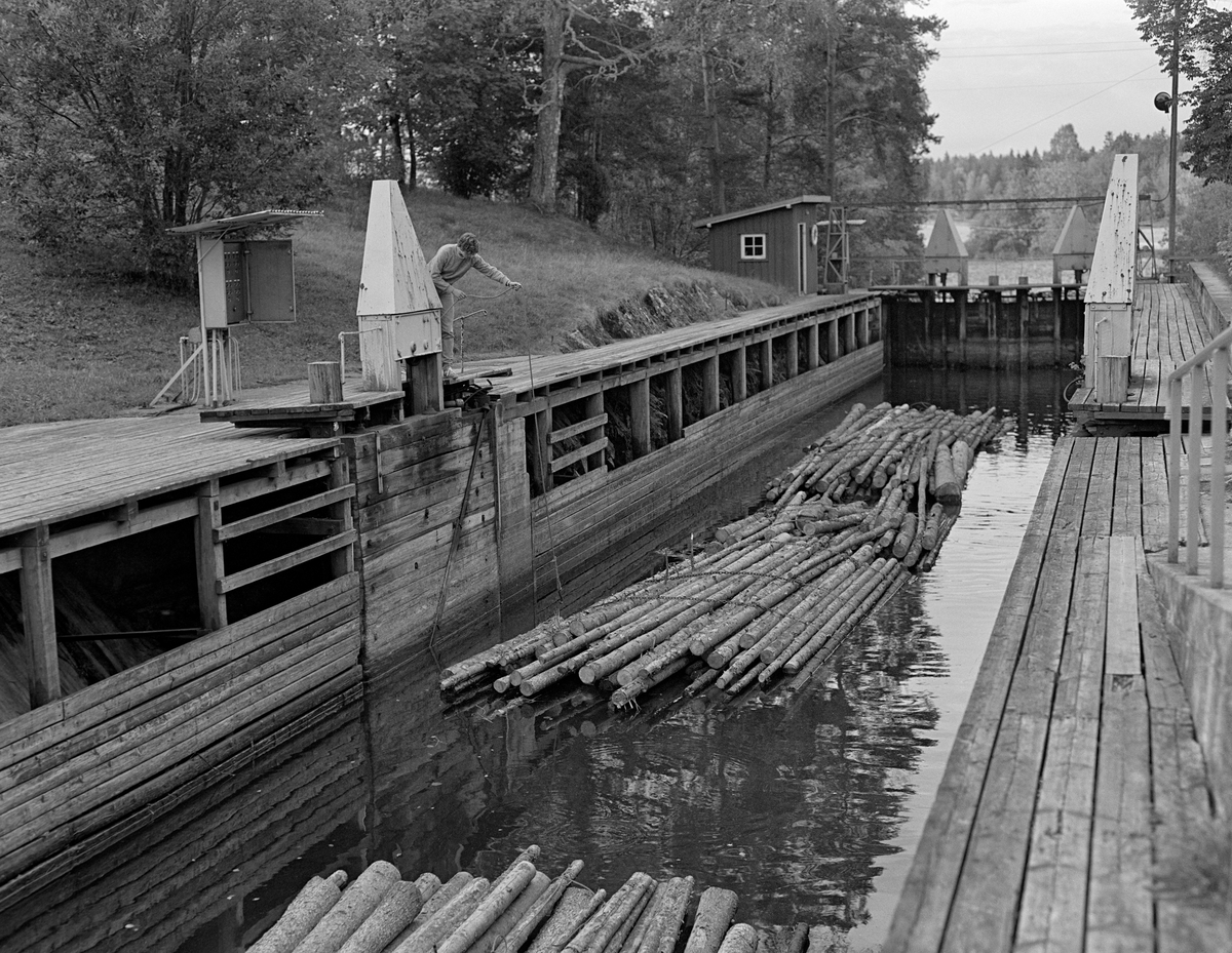 Tømmer på veg inn i det ene slusekammeret ved Strømsfoss sluse i Aremark i Østfold.  Fotografiet er tatt i 1982, som var den siste fløtingssesongen i Haldenvassdraget.  Øvre sluseport sto åpen, og ei slusevending – i dette tilfellet fire bunter med ubarket massevirke i tre meters lengder – var i ferd med å sige inn i slusekammeret.  Anne Johansen sto ved sluseporten med armen strukket ut mot slusekammeret.  Hun holdt et tau med en endekrok, som hun forsøkte å hekte på et av vaierbindene på den bakerste tømmerbunten.  Dette tauet skulle etter hvert knyttes fast på arbeidsplattformen Anne sto på, slik at det hindret slusevendinga i å sige for langt fram mot den fremre porten.  Når den skulle åpnes, slik at tømmeret kunne føres videre, slo nemlig portene inn i slusekammeret, og da var det viktig at tømmeret ikke stengte.  Ved Strømsfoss sluse var åpning og lukking av sluseporter og luker mekanisert.  Bryterpanelet som aktiverte og deaktiverte de hydrauliske mekanismene satt i skapet til venstre i bildet.  Strømsfoss sluse utliknet en høydeforskjell på to meter mellom den ovenforliggende Strømselva og den nedenforliggende kanalen mot Aremarksjøen.

En liten historikk om tømmerfløting og kanaliseringsarbeid i Haldenvassdraget finnes under fanen «Opplysninger».