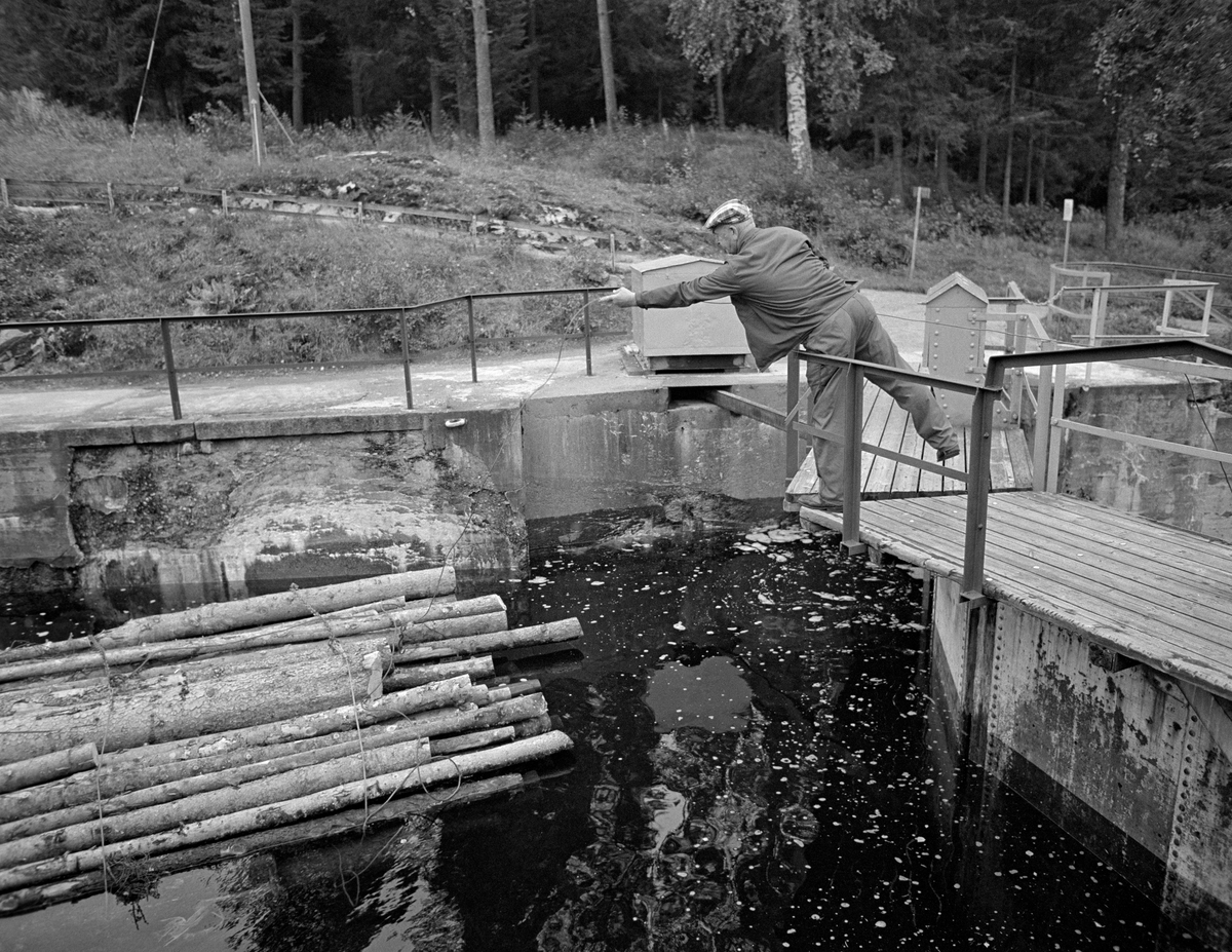 Fra innløpet til Brekke sluser i Stenselva i tidligere Berg herred i Østfold.  På dette fotografiet ser vi slusemester Kristian Gunneng lene seg over rekkverket øverst på sluseporten, antakelig for å løsne en vaier med endekrok som han, ved hjelp av et nokkespill (jfr. SJF-F.009373), har brukt til å trekke ei høvelig slusevendinger inn mot det øverste slusekammeret.   

Dette er det tredje sluseanlegget som ble bygd ved Brekke.  Det første, som den kjente vassdragstekniske pioneren Engebret Soot (1786-1859) hadde idéen til, ble bygd i slutten av 1850-åra av stedlig stein med rosentorv som tettingsmateriale i murverket.  Dette sluseanlegget ble ødelagt under flom alt i 1861.  I perioden 1873-1877 bygde det statlige Kanalvesenet et nytt sluseanlegg ved Brekke, også dette med fire slusekamre, men åpenbart mer solid enn det første.  Fredrikshald (Halden) kommune sikret seg fallrettigheter ved Brekke alt i 1904.  Det varte imidlertid helt til 1918 før kraftutbyggingsprosjektet her ble påbegynt.  I åra som fulgte ble det bygd en massiv betongdam ved Brekkefossen som var 110 meter lang, og som på grunn av vanskelige grunnforhold måtte få en høyde på opptil 38 meter.  Kraftverksdammen hevet med andre ord vannspeilet i den ovenforliggende delen av Stenselva kraftig, slik at det ble nødvendig å bygge et helt nytt sluseanlegg.  Dette ble utført i armert betong, med stålporter og hydraulisk styring. 

En liten historikk om tømmerfløting og kanaliseringsarbeid i Haldenvassdraget finnes under fanen «Opplysninger».