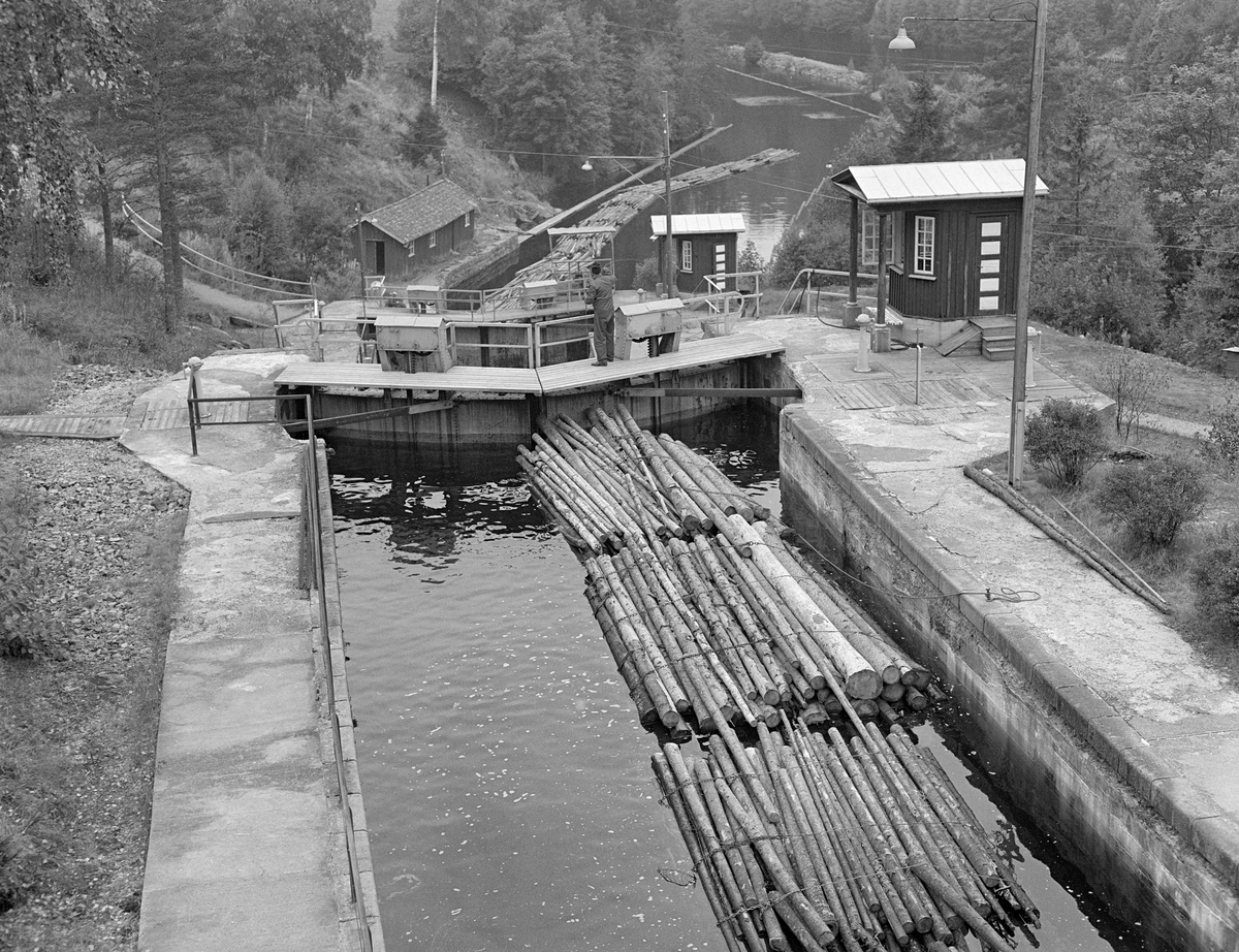 Fra Brekke sluser i tidligere Berg herred, nå Halden kommune, i Østfold.  Fotografiet er fra den ytre porten i det øverste slusekammeret nedover traseen.  I forgrunnen ser vi ned på de tre fremste buntene i ei slusevending like inntil en stengt sluseport.  Brekke sluser hadde mekanisk manøvrering av sluseporter og av omløpsrør som ble brukt når vannmassene skulle forflyttes fra ovenforliggende til nedenforliggende slusekammer. Åpning og lukking av porter og omløpsrør ble styrt fra paneler i «kiosker» ved hver sluseport.  Vi ser to av disse kioskene til høyre i den øvre delen av bildeflata.  Nederst i bakken, ved utløpskanalen, ser vi et lagerhus som tilhørte Haldenvassdragets Kanalselskap.

Dette er det tredje sluseanlegget som ble bygd ved Brekke.  Det første, som den kjente vassdragstekniske pioneren Engebret Soot (1786-1859) hadde idéen til, ble bygd i slutten av 1850-åra av stedlig stein med rosentorv som tettingsmateriale i murverket.  Dette sluseanlegget ble ødelagt under flom alt i 1861.  I perioden 1873-1877 bygde det statlige Kanalvesenet et nytt sluseanlegg ved Brekke, også dette med fire slusekamre, men åpenbart mer solid enn det første.  Fredrikshald (Halden) kommune sikret seg fallrettigheter ved Brekke alt i 1904.  Det varte imidlertid helt til 1918 før kraftutbyggingsprosjektet her ble påbegynt.  I åra som fulgte ble det bygd en massiv betongdam ved Brekkefossen som var 110 meter lang, og som på grunn av vanskelige grunnforhold måtte få en høyde på opptil 38 meter.  Kraftverksdammen hevet med andre ord vannspeilet i den ovenforliggende delen av Stenselva kraftig, slik at det ble nødvendig å bygge et helt nytt sluseanlegg.  Dette ble altså utført i armert betong, med stålporter og hydraulisk styring.  

En liten historikk om tømmerfløting og kanaliseringsarbeid i Haldenvassdraget finnes under fanen «Opplysninger».