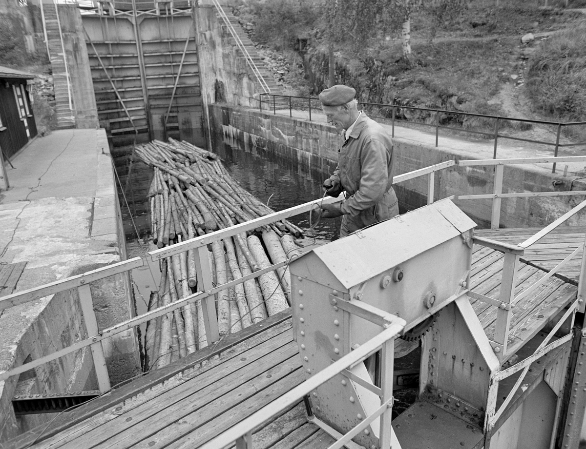 Pensjonert slusemester Odd Johansen (1917-1993) i arbeid på Brekke sluser i tidligere Berg herred, nå Halden kommune, i Østfold.  Johansen er fotografert på brua over en av sluseportene med en vaier med endekrok i hendene.  Kroken skulle hektes på et av vaierbindene på en av tømmerbuntene i det bakenforliggende slusekammeret, slik at tømmeret først kunne fortøyes i god avstand fra sluseporten (jfr. SJF-F.009392) og seinere, når slusekammeret var nedtappet, kunne trekkes over i det neste ved hjelp av et nokkespill (jfr. SJF-F.009389 og SJF-F.009390).  Fløtingstømmeret i bakgrunnen er buntet, ubarket massevirke i tre meters lengder.  Til venstre for plattformen til venstre ser vi deler av fasaden på Haldenvassdragets Kanalselskaps verkstedbygning på Brekke.  Johansen var arbeidskledd, med beavernylondress utenpå ei kvit skjorte og med alpelue på hodet.  I sitt yrkesaktive liv hadde han i hovedsak hatt Strømsfoss sluse som arbeidsplass, men som pensjonist var han det siste fløtingsåret i Haldenvassdraget (1982) med og hjalp til i ulike deler av vassdraget.

Dette er det tredje sluseanlegget som ble bygd ved Brekke.  Det første, som den kjente vassdragstekniske pioneren Engebret Soot (1786-1859) hadde idéen til, ble bygd i slutten av 1850-åra av stedlig stein med rosentorv som tettingsmateriale i murverket.  Dette sluseanlegget ble ødelagt under flom alt i 1861.  I perioden 1873-1877 bygde det statlige Kanalvesenet et nytt sluseanlegg ved Brekke, også dette med fire slusekamre, men åpenbart mer solid enn det første.  Fredrikshald (Halden) kommune sikret seg fallrettigheter ved Brekke alt i 1904.  Det varte imidlertid helt til 1918 før kraftutbyggingsprosjektet her ble påbegynt.  I åra som fulgte ble det bygd en massiv betongdam ved Brekkefossen som var 110 meter lang, og som på grunn av vanskelige grunnforhold måtte få en høyde på opptil 38 meter.  Kraftverksdammen hevet med andre ord vannspeilet i den ovenforliggende delen av Stenselva kraftig, slik at det ble nødvendig å bygge et helt nytt sluseanlegg.  Dette ble altså utført i armert betong, med stålporter og hydraulisk styring.

En liten historikk om tømmerfløting og kanaliseringsarbeid i Haldenvassdraget finnes under fanen «Opplysninger».