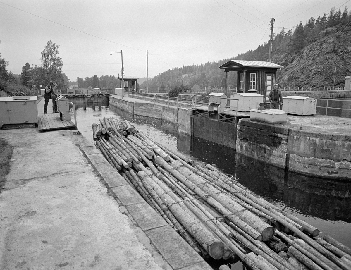 Tømmerbunter, fotografert idet de var i ferd med å flyte inn i det øverste slusekammeret ved Brekke i tidligere Berg herred, nåværende Halden kommune, i Østfold.  Buntet tømmer fra den ovenforliggende delen av vassdraget ble buksert ned til Brekke i store slep.  Der ble slepene fortøyd på sørsida av kraftverksdammen.  Slepene måtte deles i kortere lenker som var tilpasset lengden på slusekamrene.  Dette fotografiet ble tatt i 1982, som var den siste fløtingssesongen i Haldenvassdraget.  Da ble det utelukkende fløtet ubarket massevirke i tre meters lengder.  Av dette sortimentet gikk det fire bunter i hver slusevending.  Da dette fotografiet ble tatt var den første bunten i ei slik slusevending i ferd med å passere den øvre, åpne porten i øverste slusekammer.  Slusekamrene ved Brekke var utført i armert betong, og de hadde digre porter av stål.  Både portene og omløpsrørene, som førte vann fra ett slusekammer over i det nedenforliggende, ble manøvrert fra bryterpaneler i små kiosker ved hver port.  Slusemester Kristian Gunneng sto ved et nokkespill foran den nærmeste slusekiosken.  Bak denne lille bygningen skimter vi damkrona på den 110 meter lange Brekkedammen.

Dette er det tredje sluseanlegget som ble bygd ved Brekke.  Det første, som den kjente vassdragstekniske pioneren Engebret Soot (1786-1859) hadde idéen til, ble bygd i slutten av 1850-åra av stedlig stein med rosentorv som tettingsmateriale i murverket.  Dette sluseanlegget ble ødelagt under flom alt i 1861.  I perioden 1873-1877 bygde det statlige Kanalvesenet et nytt sluseanlegg ved Brekke, også dette med fire slusekamre, men åpenbart mer solid enn det første.  Fredrikshald (Halden) kommune sikret seg fallrettigheter ved Brekke alt i 1904.  Det varte imidlertid helt til 1918 før kraftutbyggingsprosjektet her ble påbegynt.  I åra som fulgte ble det bygd en massiv betongdam ved Brekkefossen som var 110 meter lang, og som på grunn av vanskelige grunnforhold måtte få en høyde på opptil 38 meter.  Kraftverksdammen hevet med andre ord vannspeilet i den ovenforliggende delen av Stenselva kraftig, slik at det ble nødvendig å bygge et helt nytt sluseanlegg.  Dette ble utført i armert betong, med stålporter og hydraulisk styring.  Betjeningspanelene for sluseportene ble plassert i små kiosker ved hver port.  Vi ser to av dem på dette fotografiet.  Kioskene ble, i likhet med de øvrige bygningene ved sluseanlegget og kraftverket, tegnet av den kjente arkitekten Thorvald Astrup (1876-1940).  Dammen var en såkalt valsedam.  På nordsida av dammen (like over taket på kiosken til høyre) ser vi innløpet til den 200 meter lange omløpsdammen, som var sprengt inn i fjellet. Fotografiet ble tatt i 1982, som var den siste sesongen det ble fløtet tømmer i Haldenvassdraget.  Dermed mistet sluseanleggene sin viktigste funksjon.  Rekreasjonsbruken av det kanaliserte vassdraget har imidlertid økt kraftig i åra etterpå.

En liten historikk om tømmerfløting og kanaliseringsarbeid i Haldenvassdraget finnes under fanen «Opplysninger».