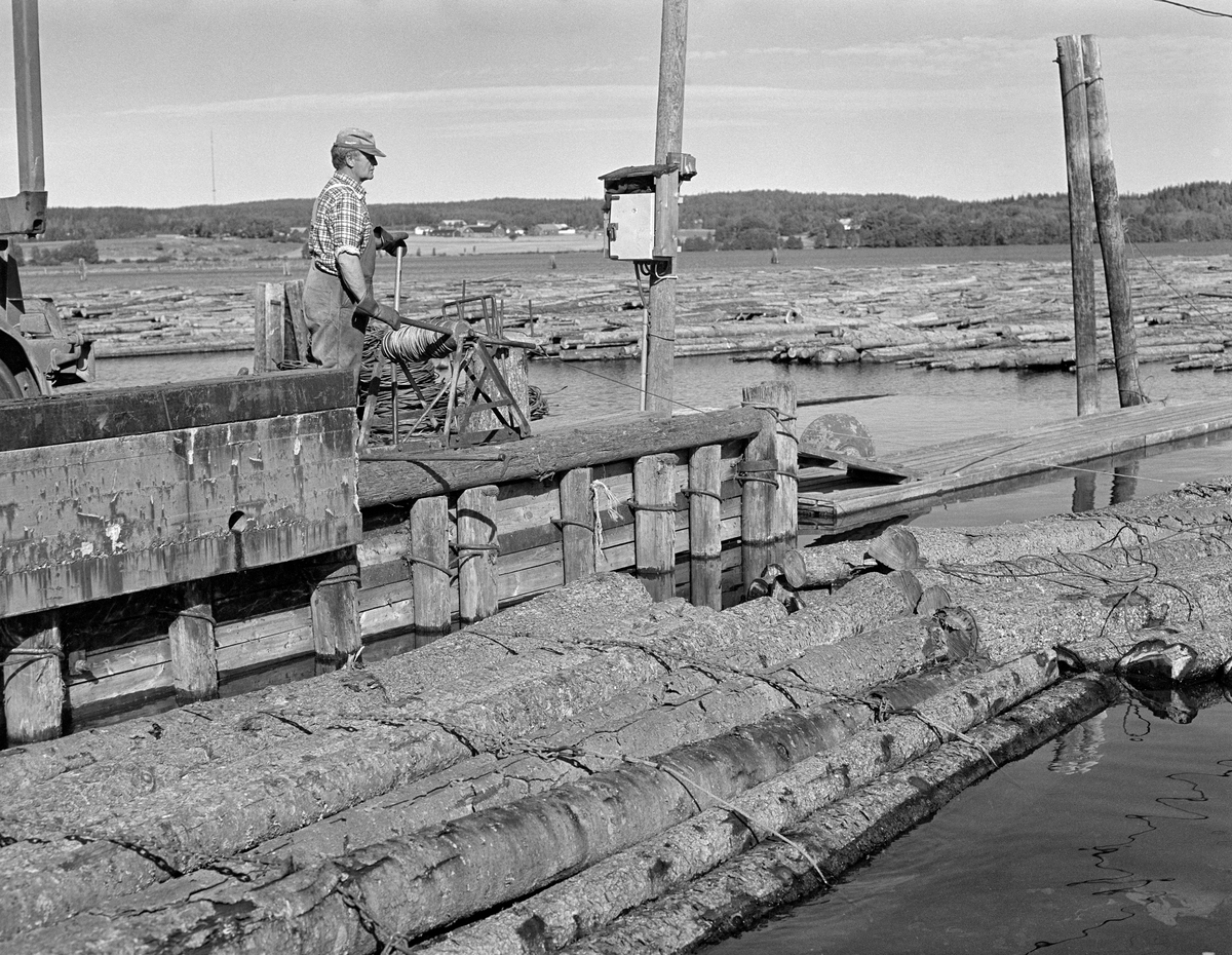 Buntet fløtingstømmer trekkes inn mot Bjørnstadbrygga i Femsjøen i Halden i Østfold.  Her skulle massevirke fra skogene langs Haldenvassdraget tas på land og kjøres de siste par kilometerne ned til Saugbrugsforeningens papirfabrikk.  En mann med et tjor på et jernstativ trakk tømmeret inn mot brygga.  Ved venstre bildekant ser vi litt av den bakre delen av en av Saugbrugsforeningens lastebiler.  Tømmeret var ubarket massevirke i tre meters lengder som var fløtet i bunter fra den øvre delen av vassdraget.  Ved Bjørnstadbrygga ble buntene ledet inn i ei dokk, hvor botnen kunne heves litt.  Rundt hver bunt var det slått tre, av og til fire, vaierbind som måtte løsnes før den nevnte krana kunne gripe noen stokker av gangen og løfte dem opp på bilen, som skulle kjøre papirråstoffet de siste par kilometerne ned til fabrikken.  Dette fotografiet er tatt i 1982, som ble den siste sesongen med tømmerfløting i Haldenvassdraget.

En liten historikk om tømmerfløting og kanaliseringsarbeid i Haldenvassdraget finnes under fanen «Opplysninger».